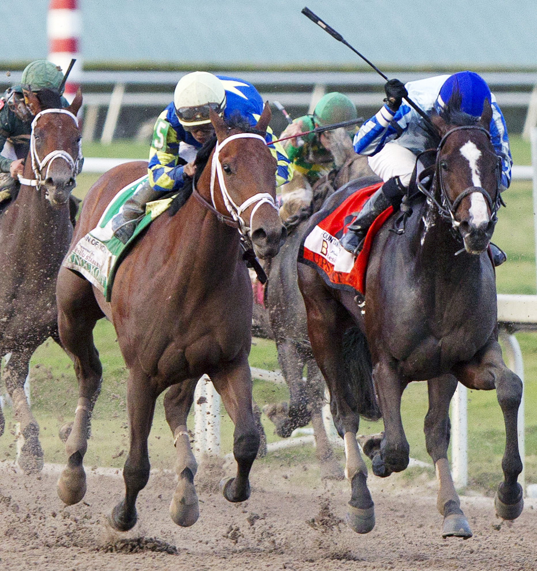 Itsaknockout battles Upstart in the Fountain of Youth
