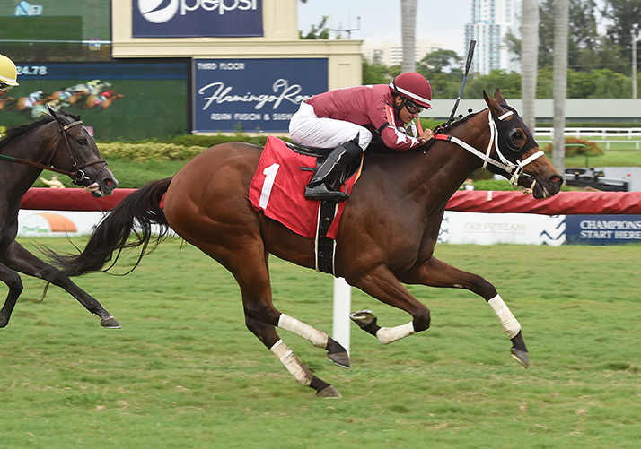 Itsherluckyday wins a June 13 maiden race at Gulfstream Park
