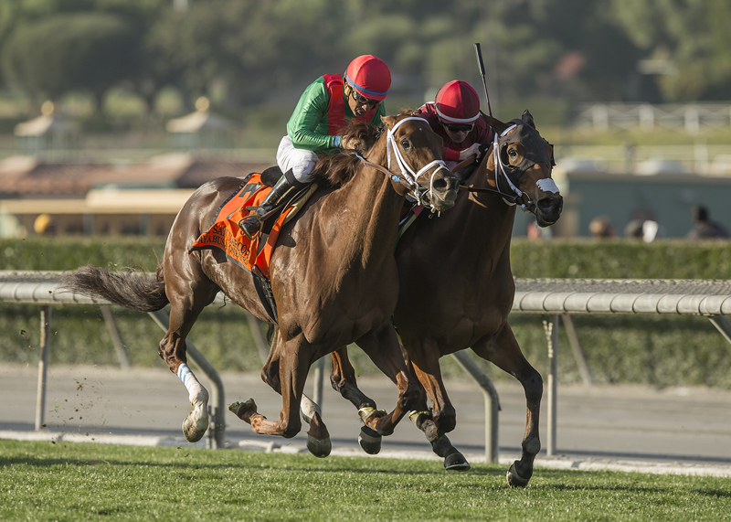 Itsinthepost (inside) wins the 2018 San Marcos Stakes