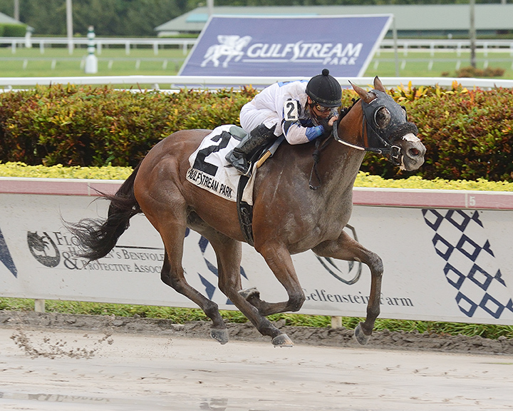 Itsmyluckycharm wins the 2019 Portofino Bay Stakes