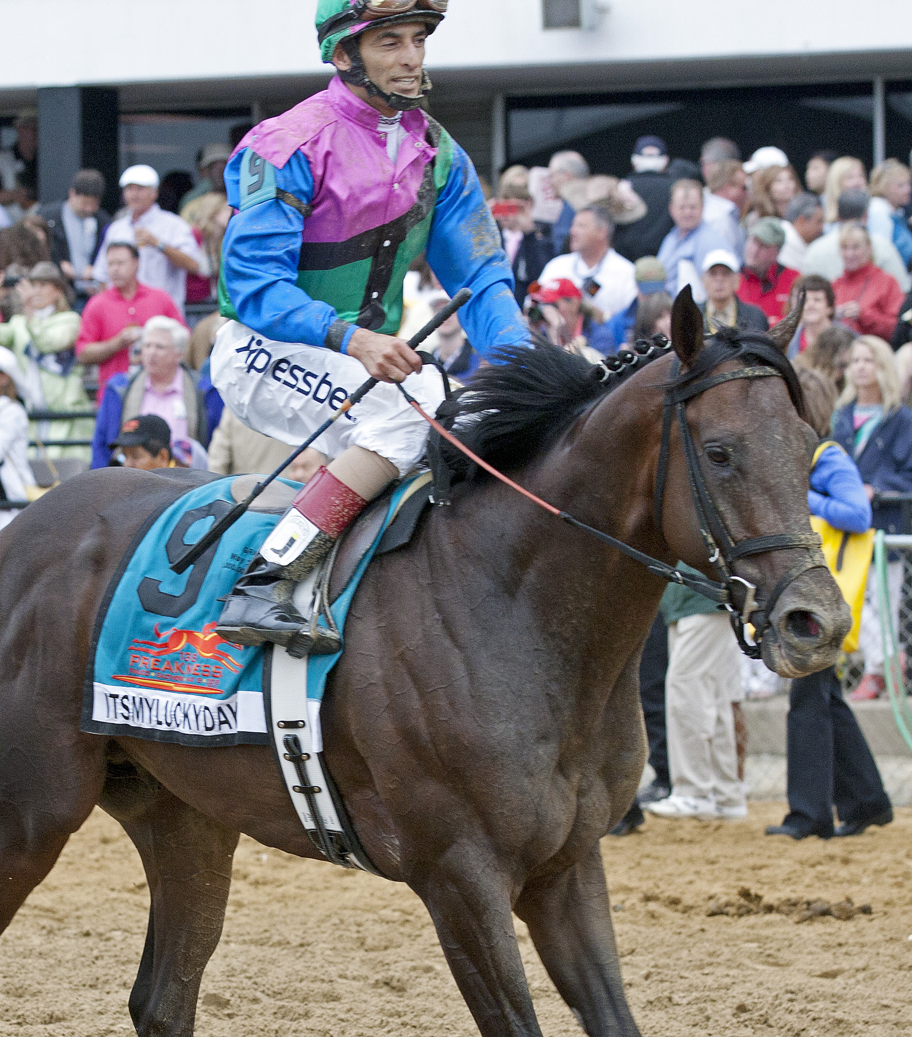Preakness Stakes: Plesa pleased with Itsmyluckyday's performance