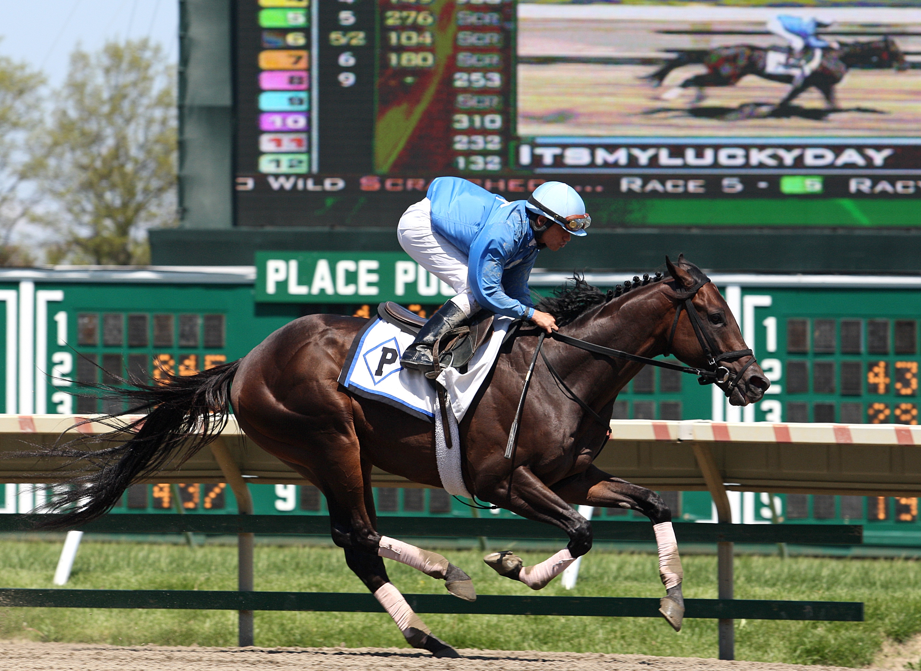 Preakness Stakes: Itsmyluckyday breezes between races at Monmouth