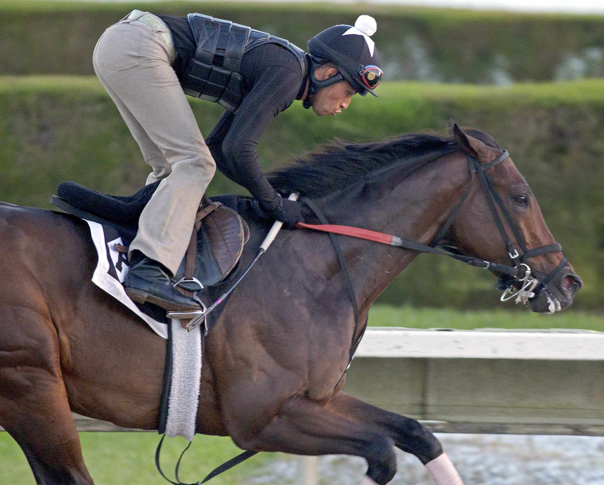 Gulfstream Park: Itsmyluckyday gets back to work; Florida Derby is next up