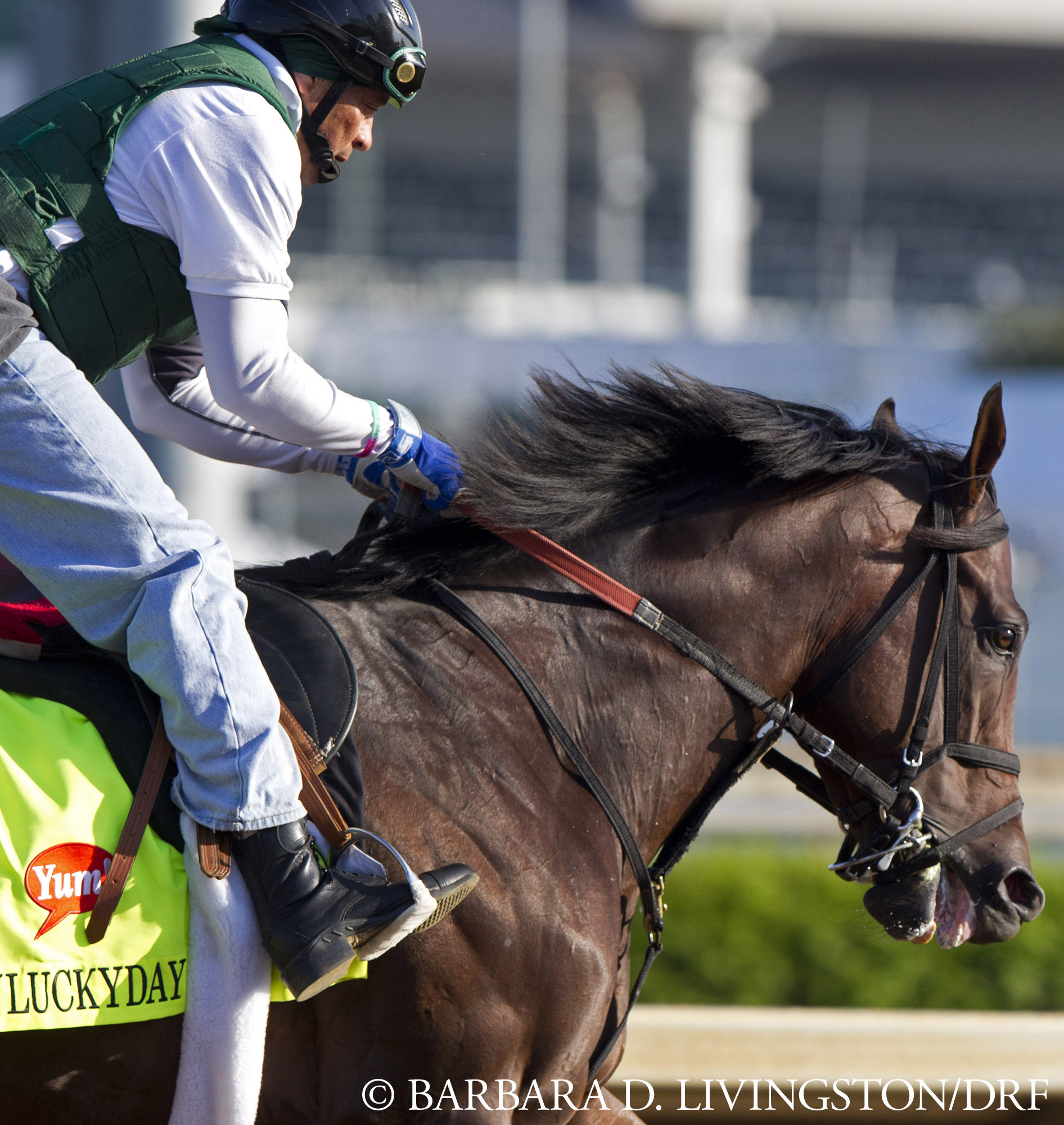 Itsmyluckyday training April 30
