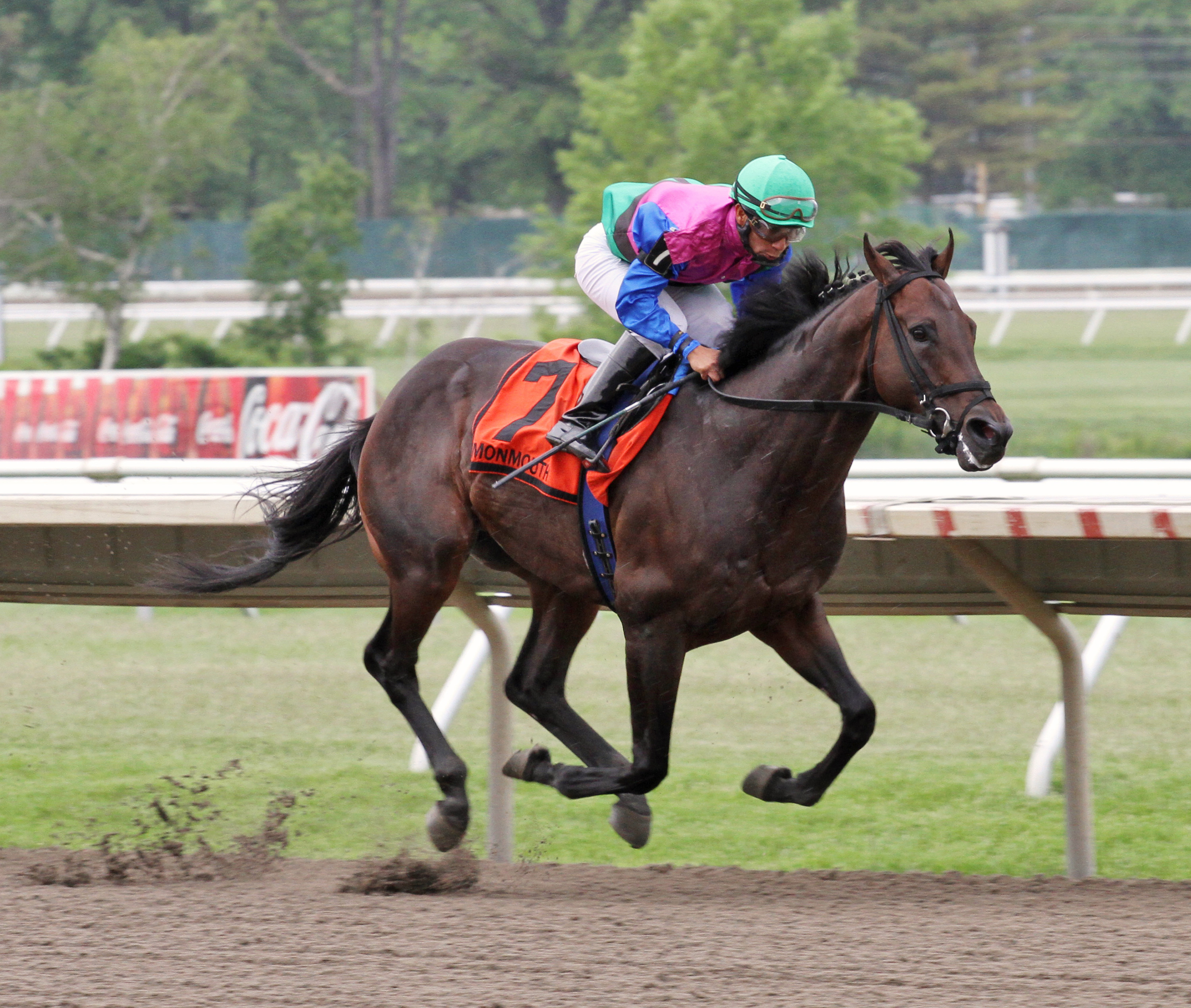 Itsmyluckyday wins 2014 Majestic Light