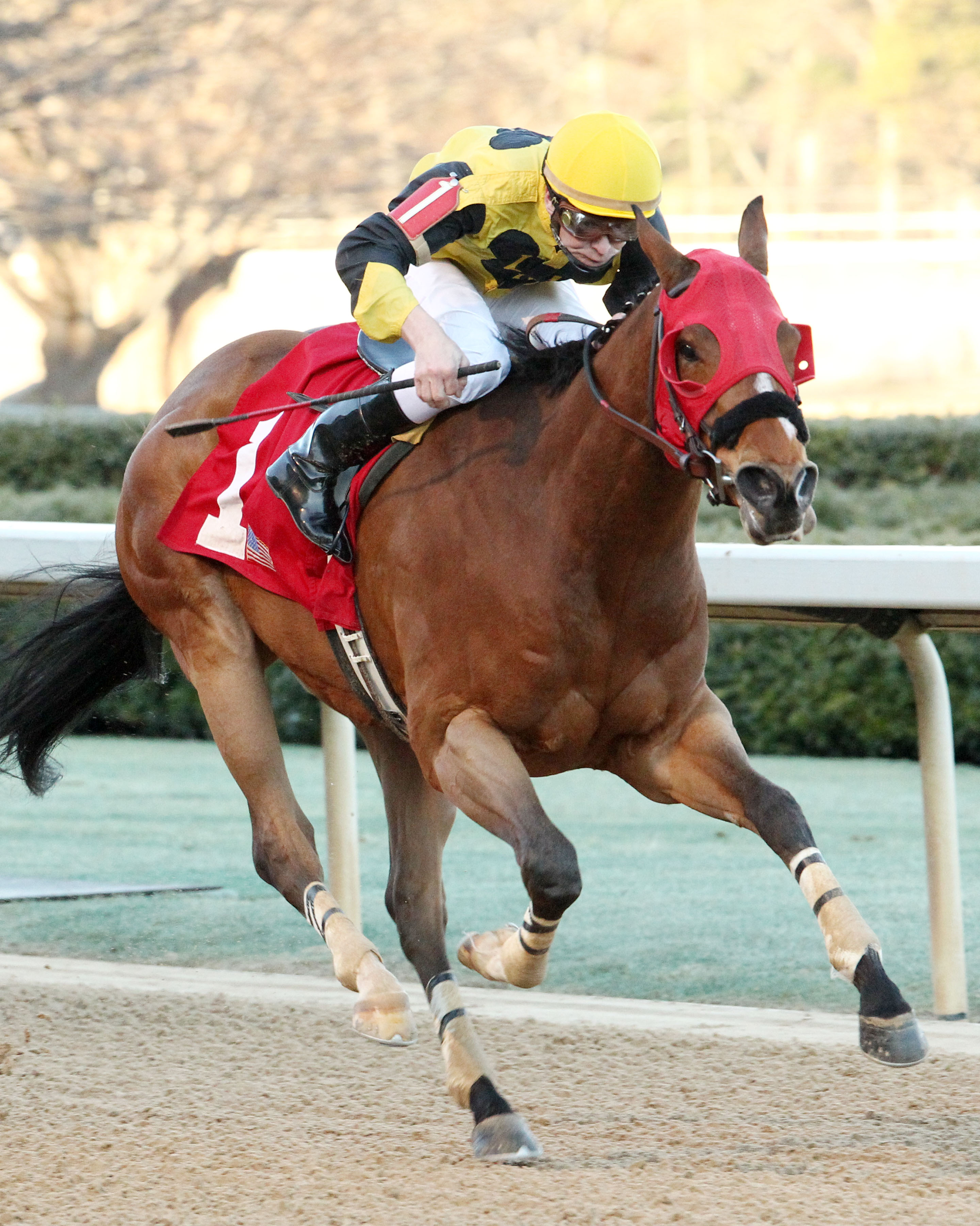 Ivan Fallunovalot wins 2015 King Cotton