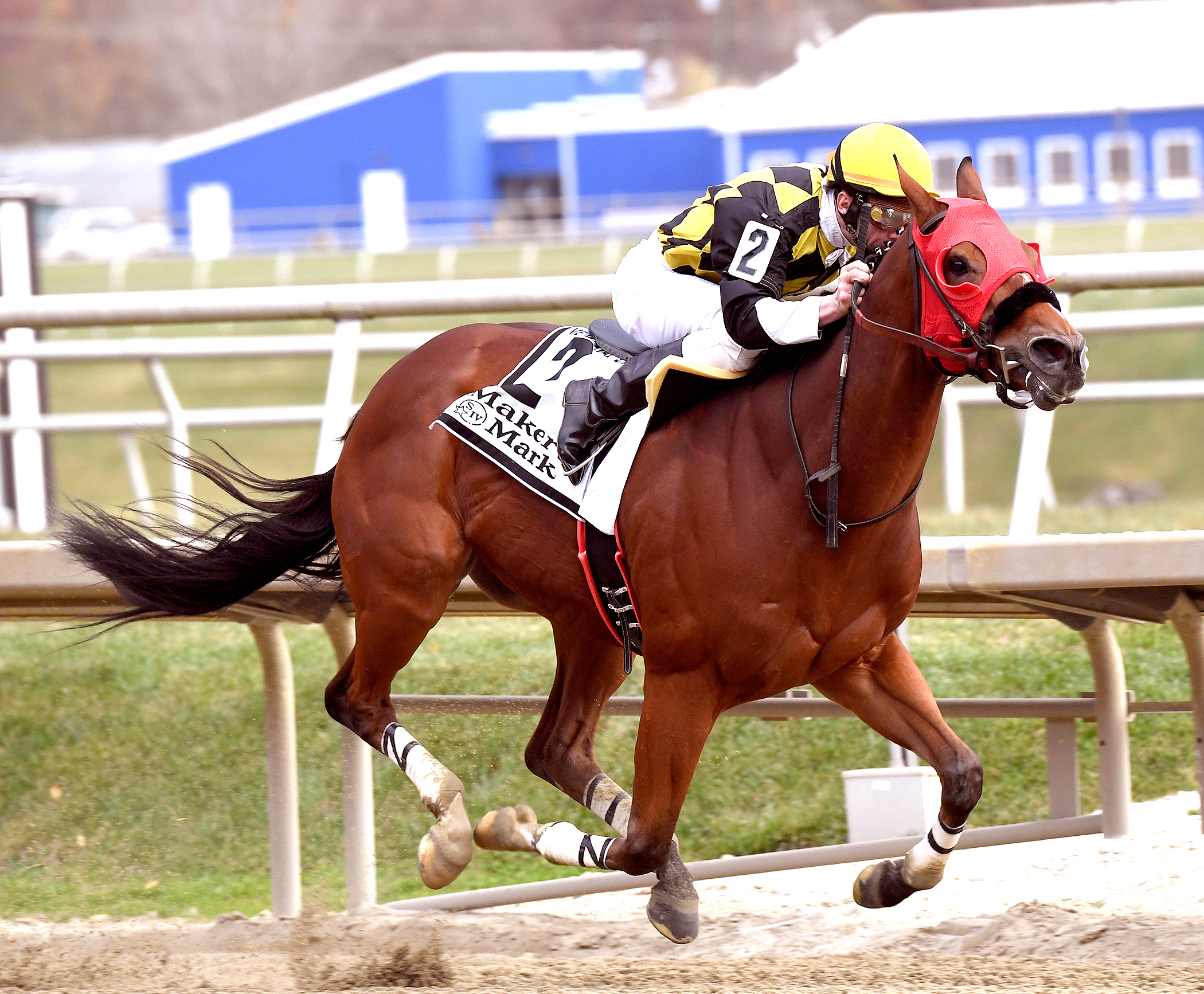 Ivan Fallunovalot wins the De Francis Dash