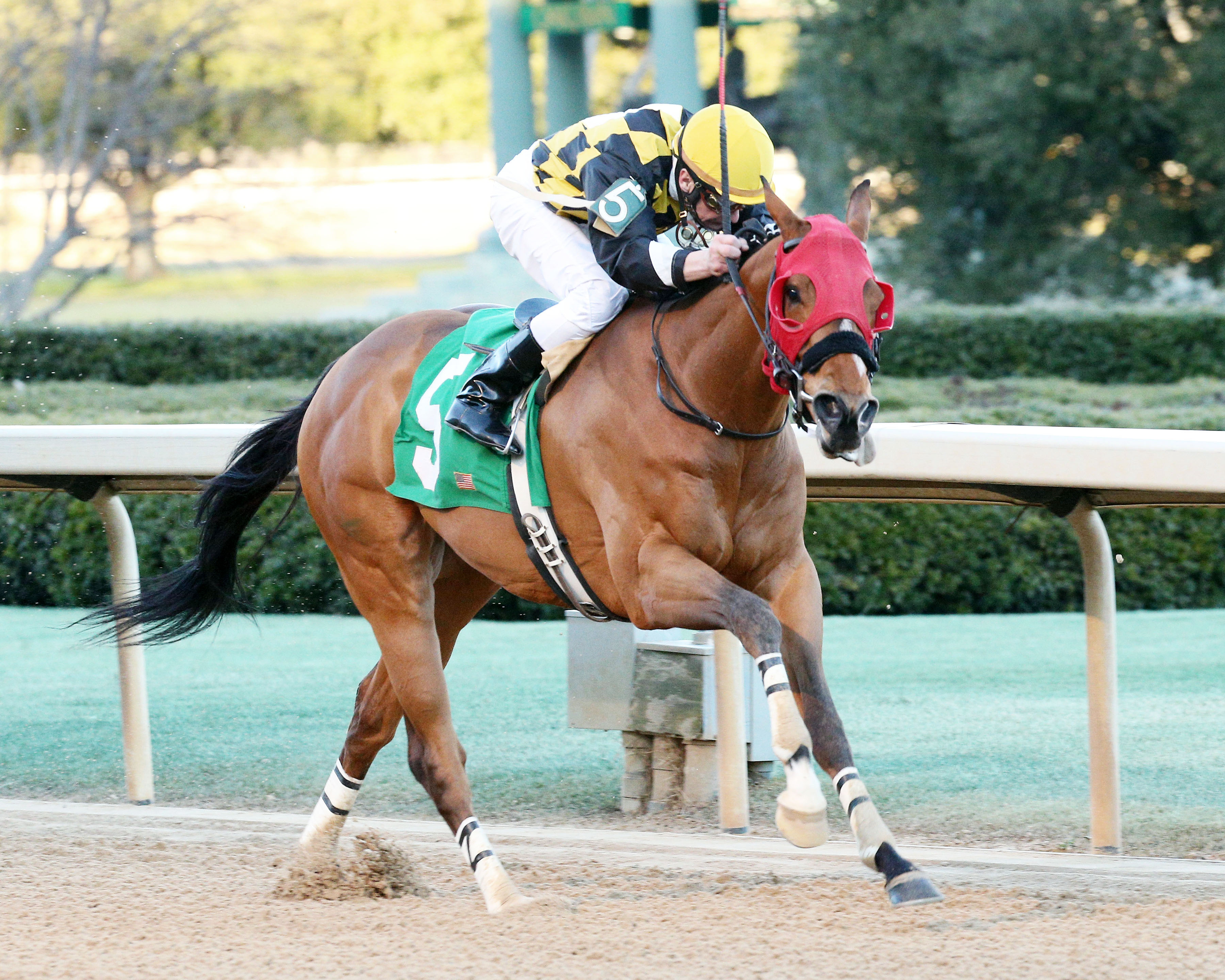 Ivan Fallunovalot wins the 2016 King Cotton