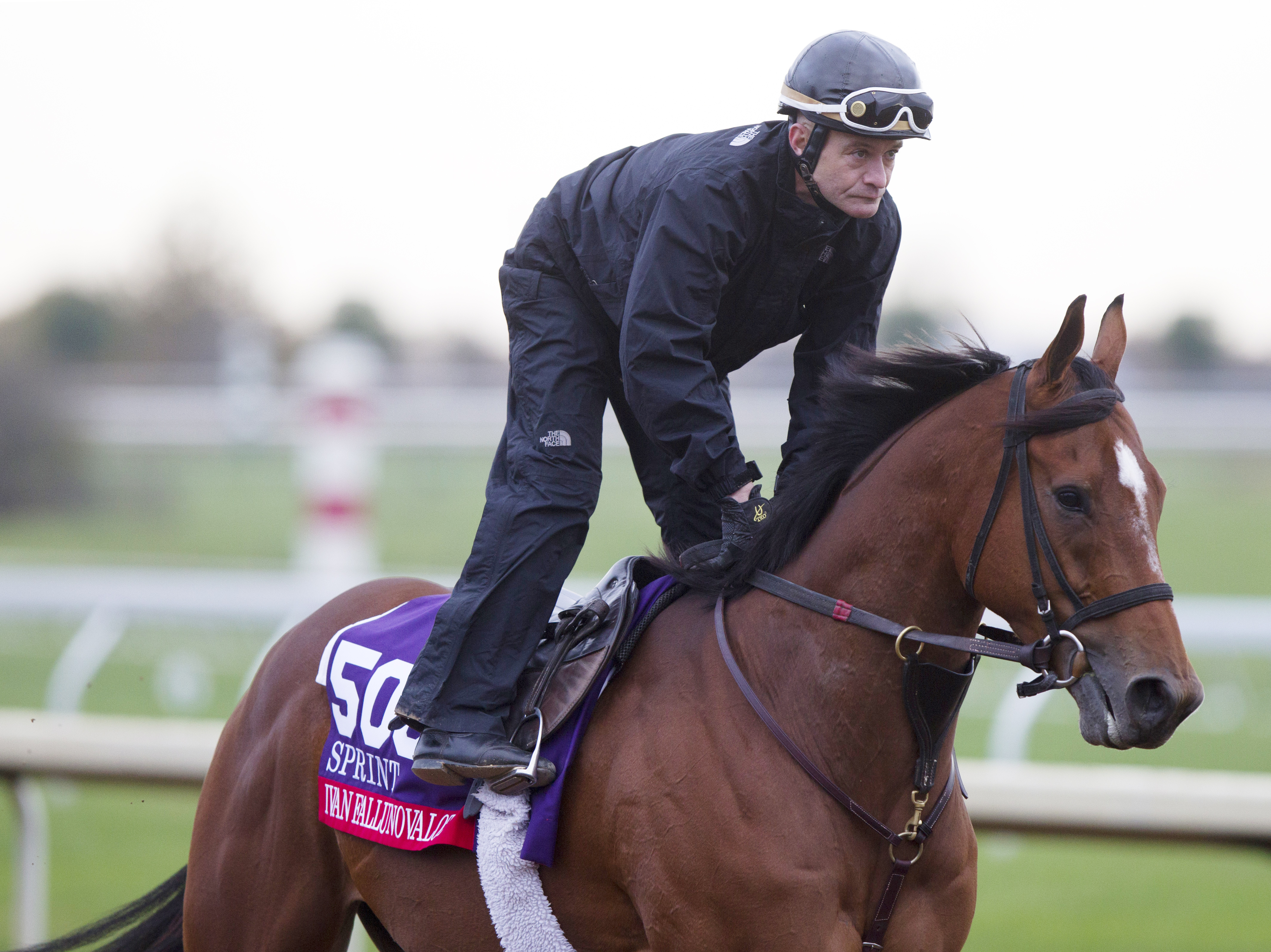 Ivan Fallunovalot at Keeneland on Oct. 26