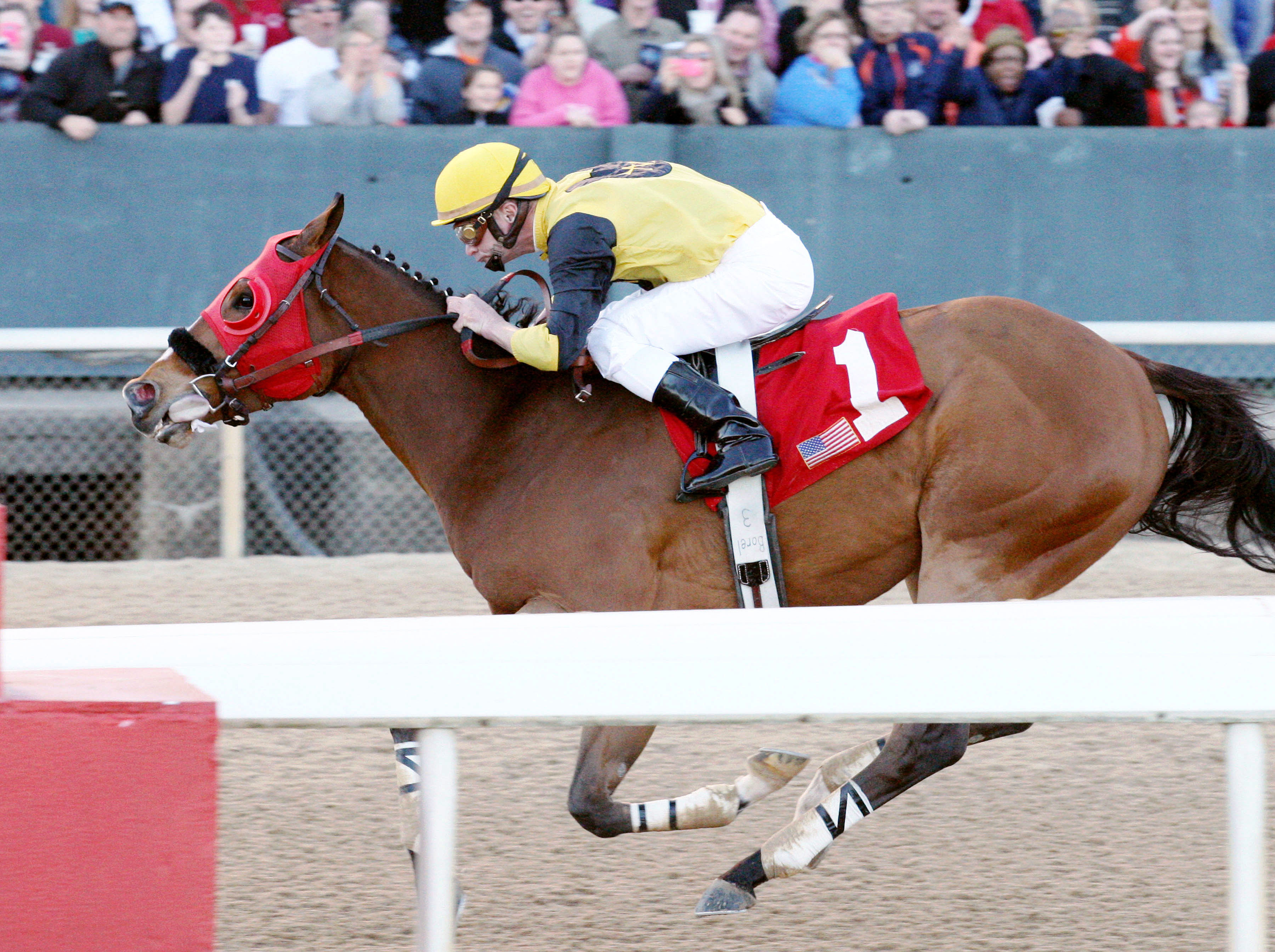 Ivan Fallunovalot wins the King Cotton Stakes