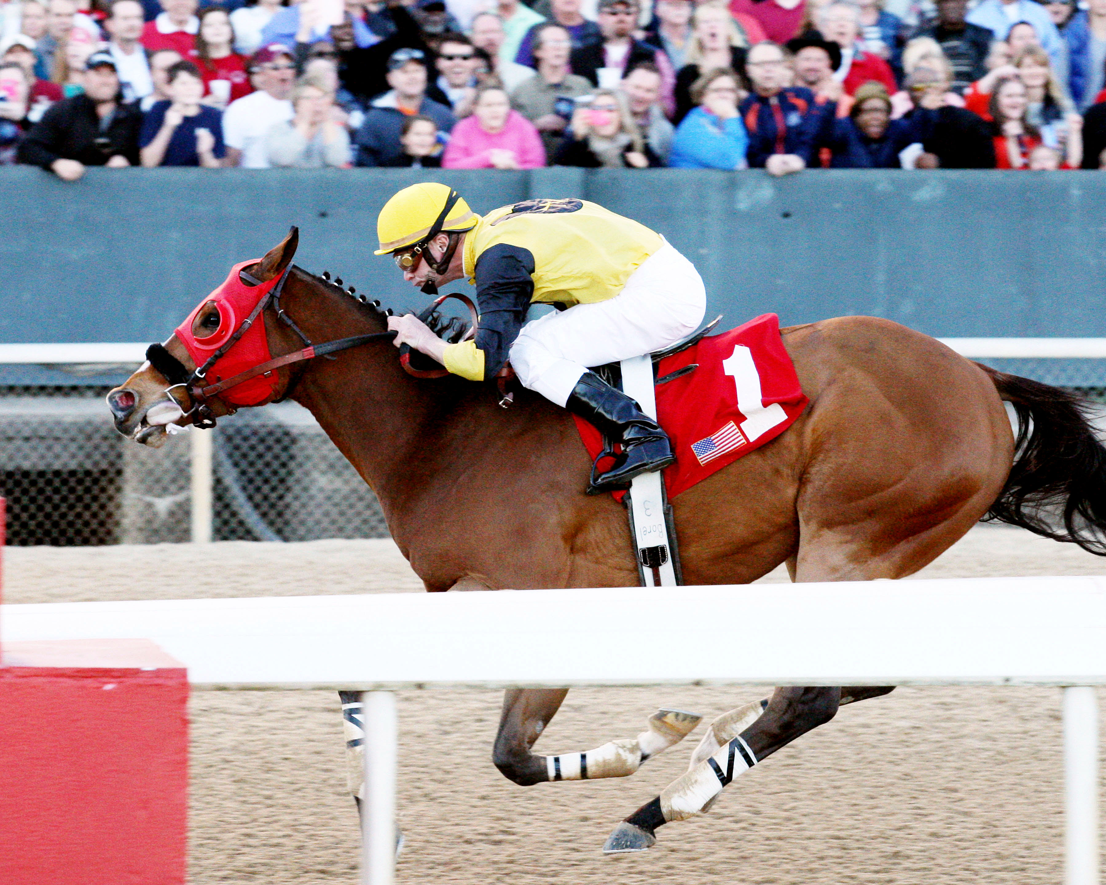 Ivan Fallunovalot wins the King Cotton
