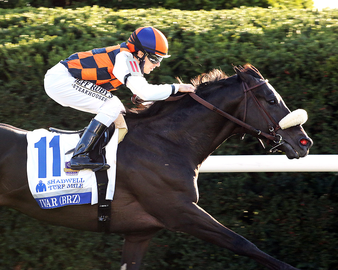Ivar wins the 2020 Shadwell Turf Mile at Keeneland Racecourse