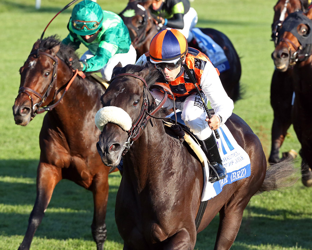 Ivar wins the 2020 Shadwell Turf Mile at Keeneland
