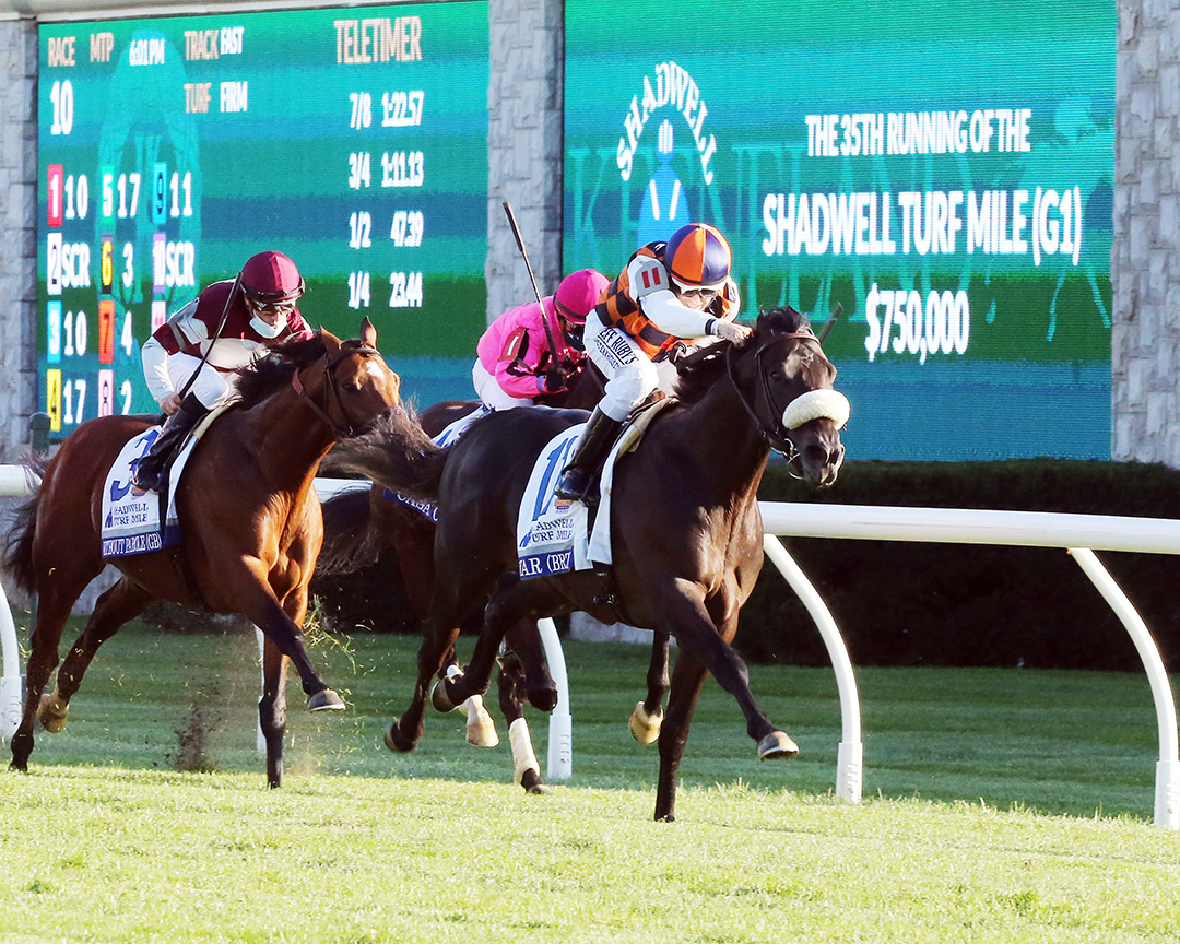 Ivar wins the 2020 Shadwell Turf Mile at Keeneland Racecourse