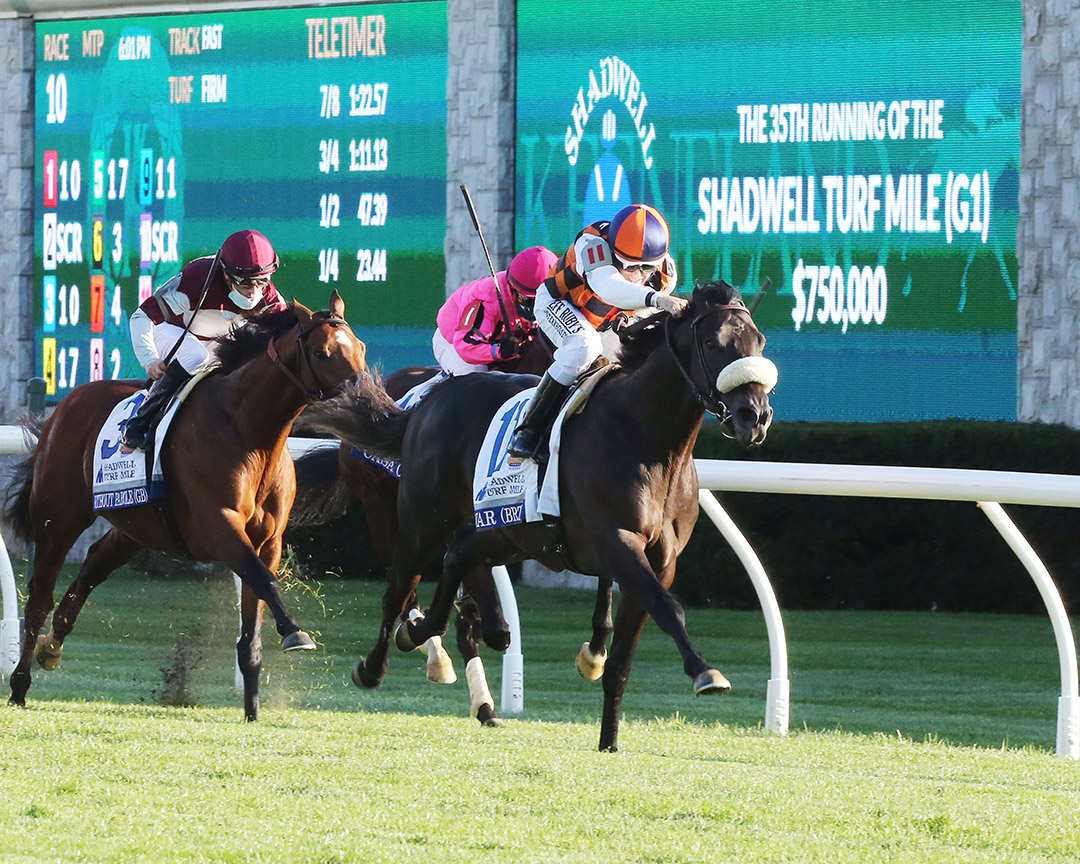 Ivar wins the 2020 Shadwell Turf Mile at Keeneland Racecourse