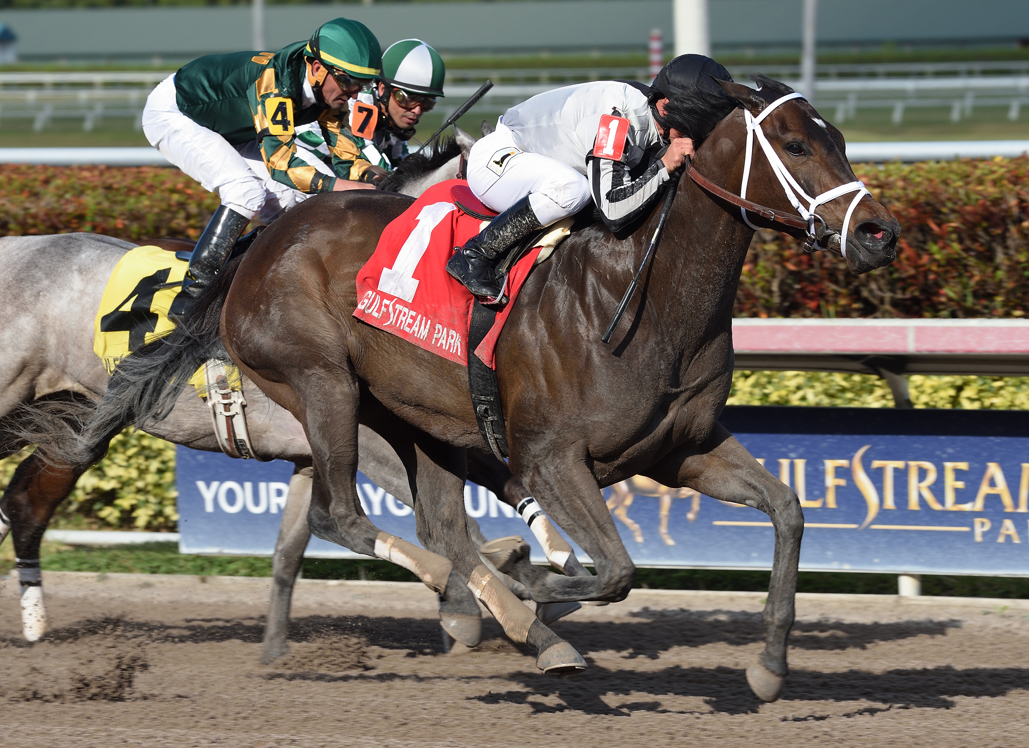 Ivy Bell wins the 2018 Inside Information Stakes