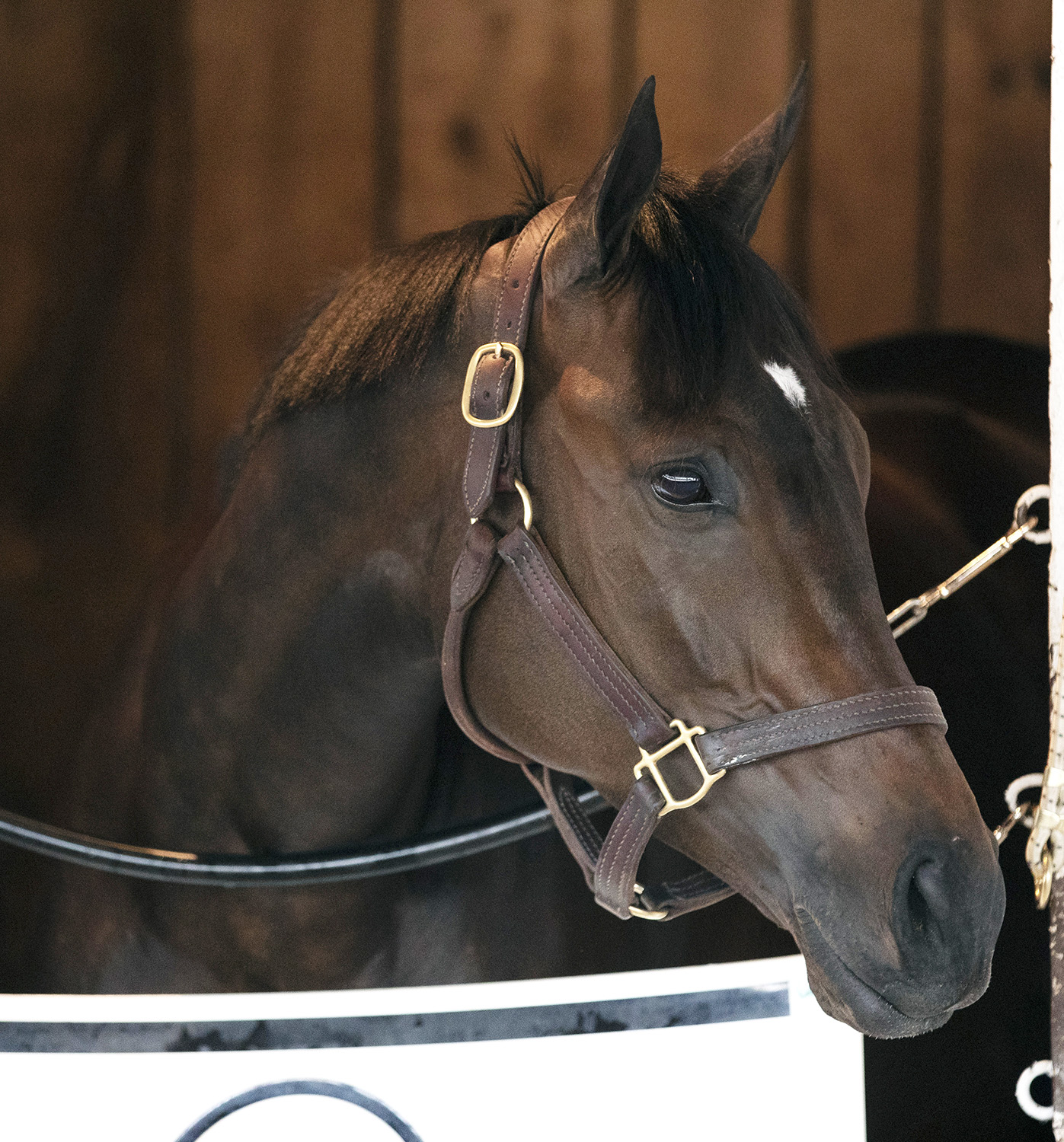 Ivy Bell at Churchill on May 3