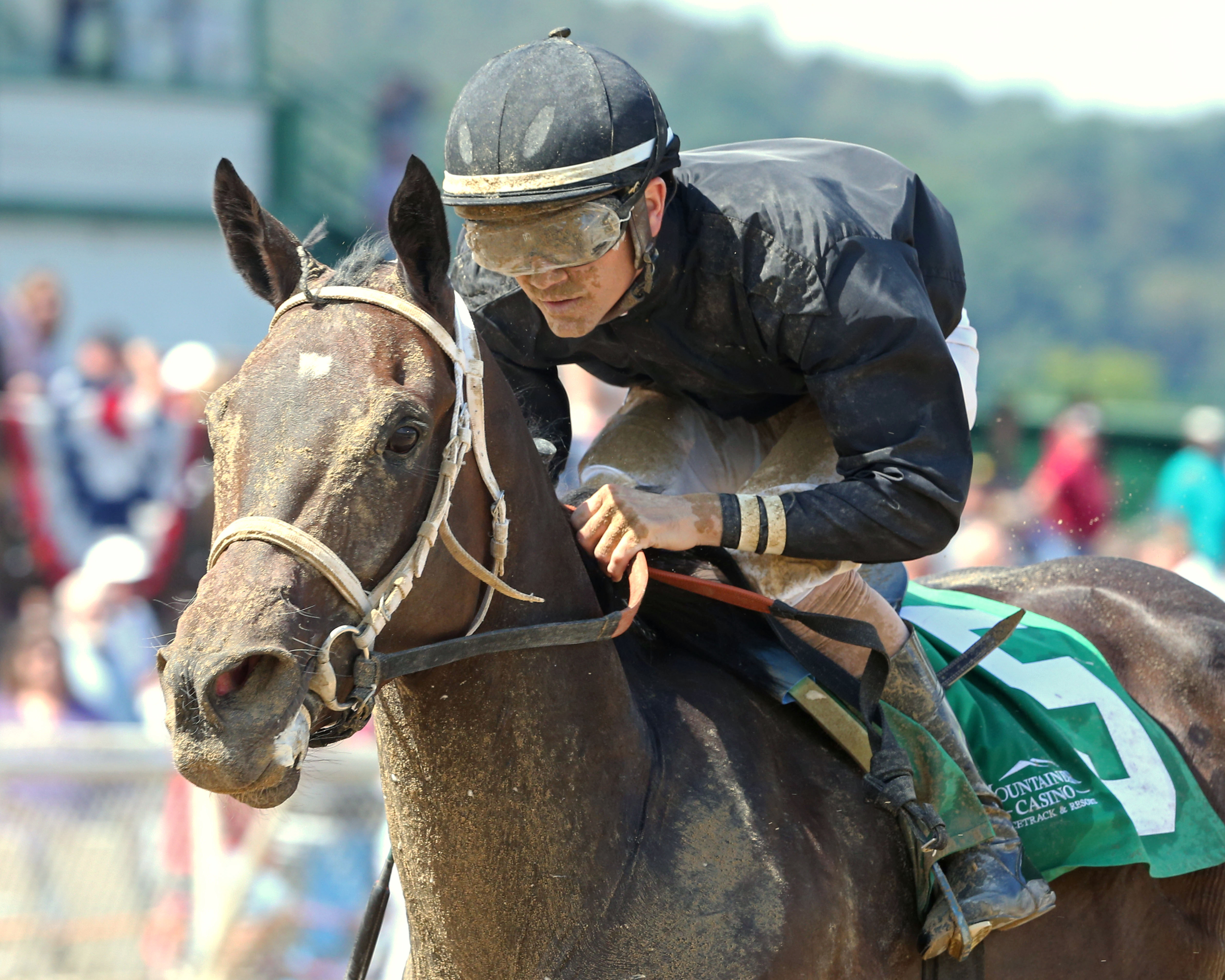 Ivy Bell wins the 2017 West Virginia Secretary of State Stakes