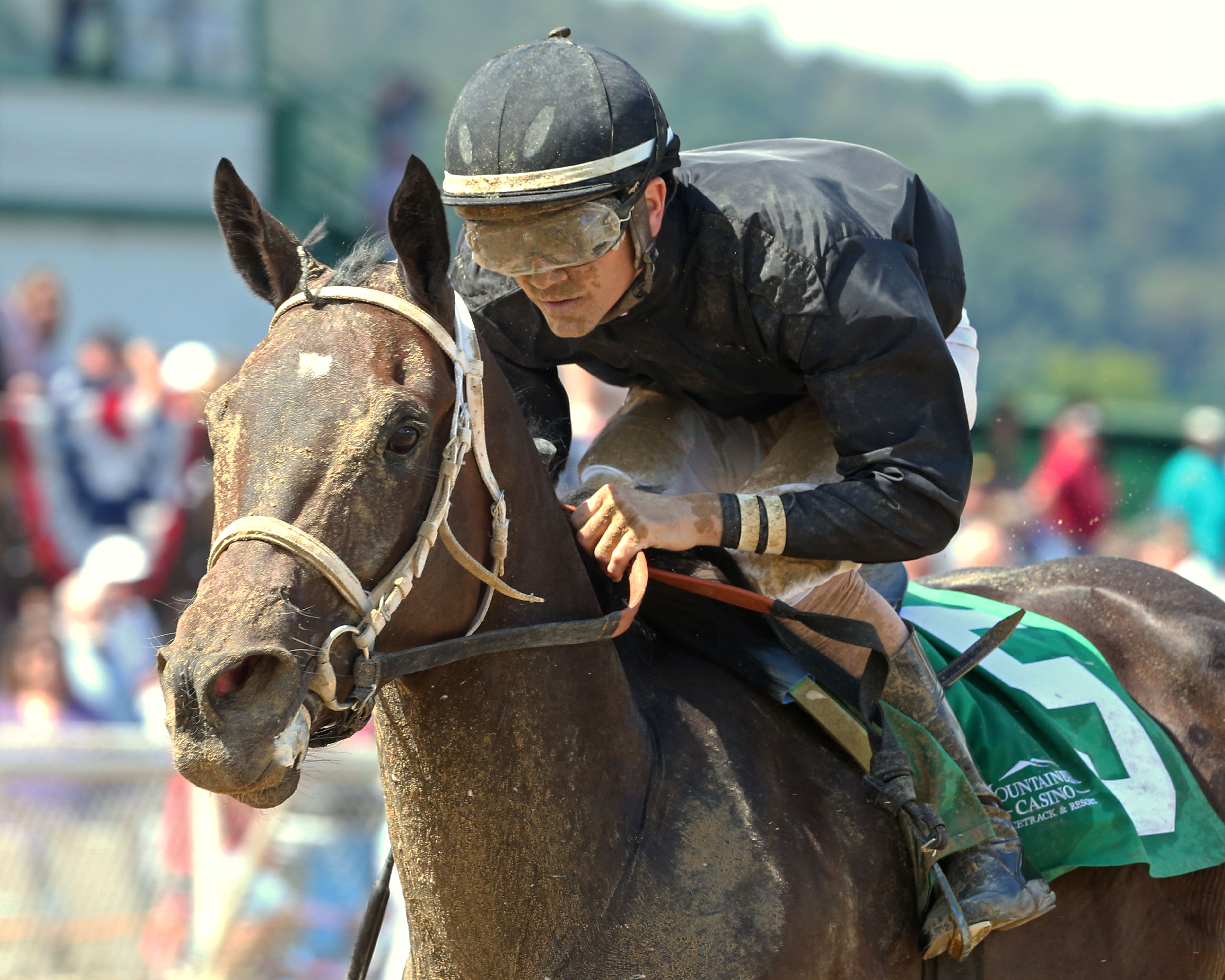 Ivy Bell wins the 2017 West Virginia Secretary of State Stakes