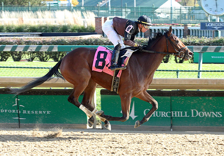 Ivyetsu wins a Nov. 9 maiden race at Churchill Downs