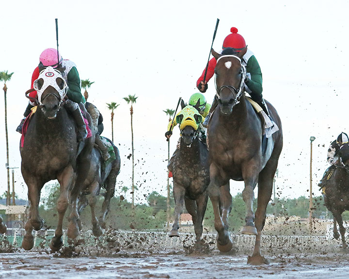 Izzy the Warrior wins the Bienvenidos Stakes