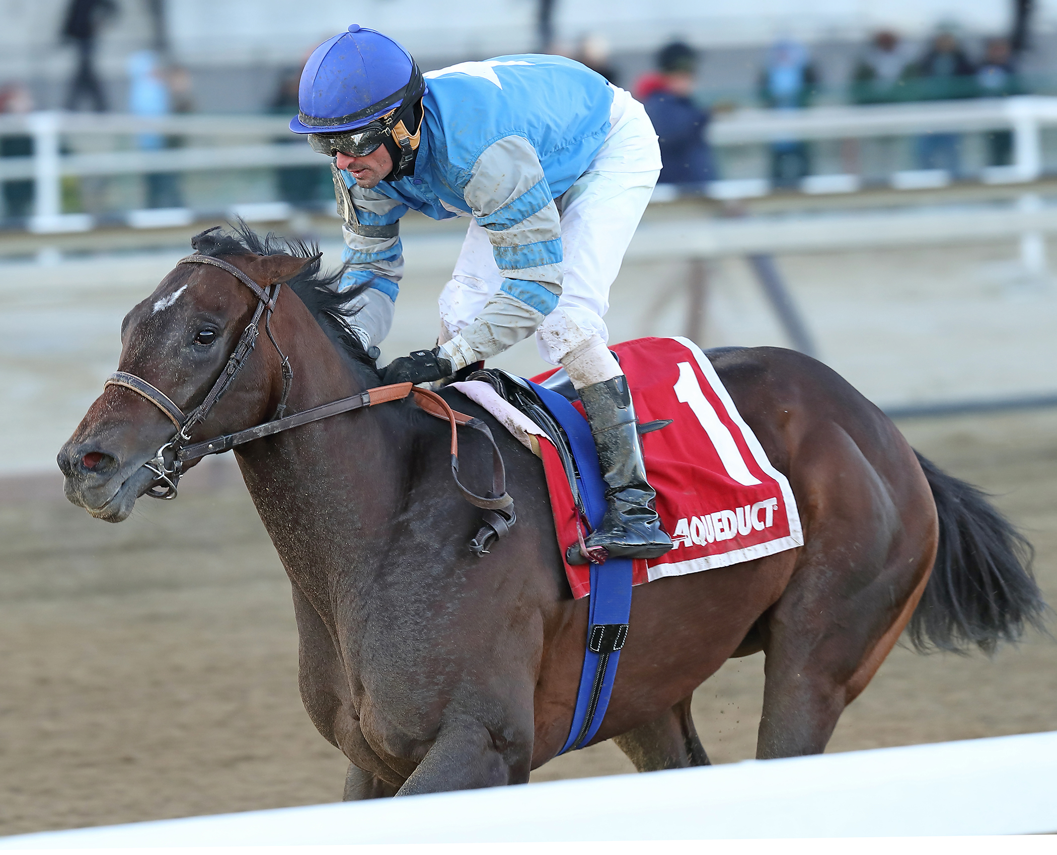 J Boys Echo wins the Gotham