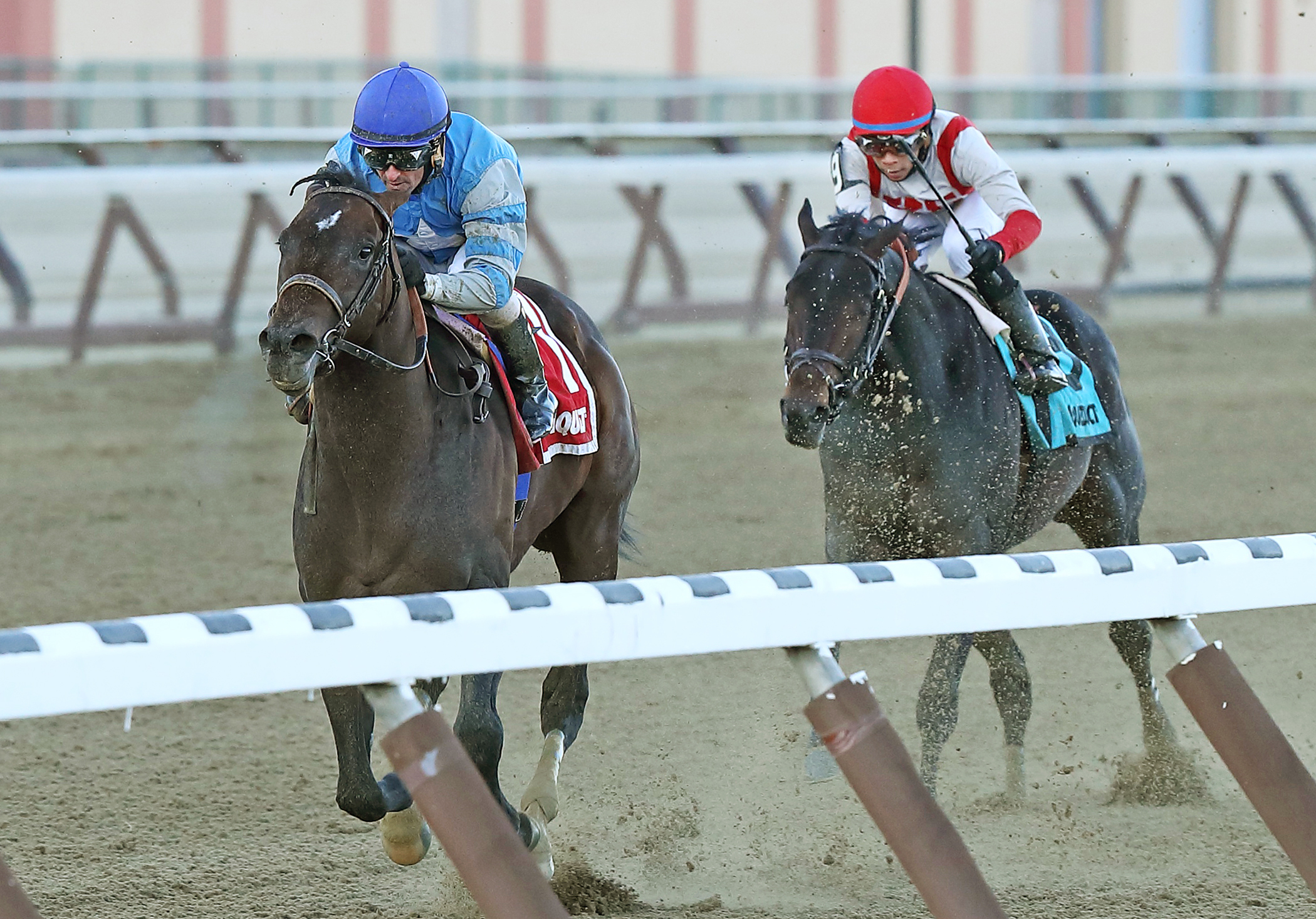 J Boys Echo wins the Gotham Stakes