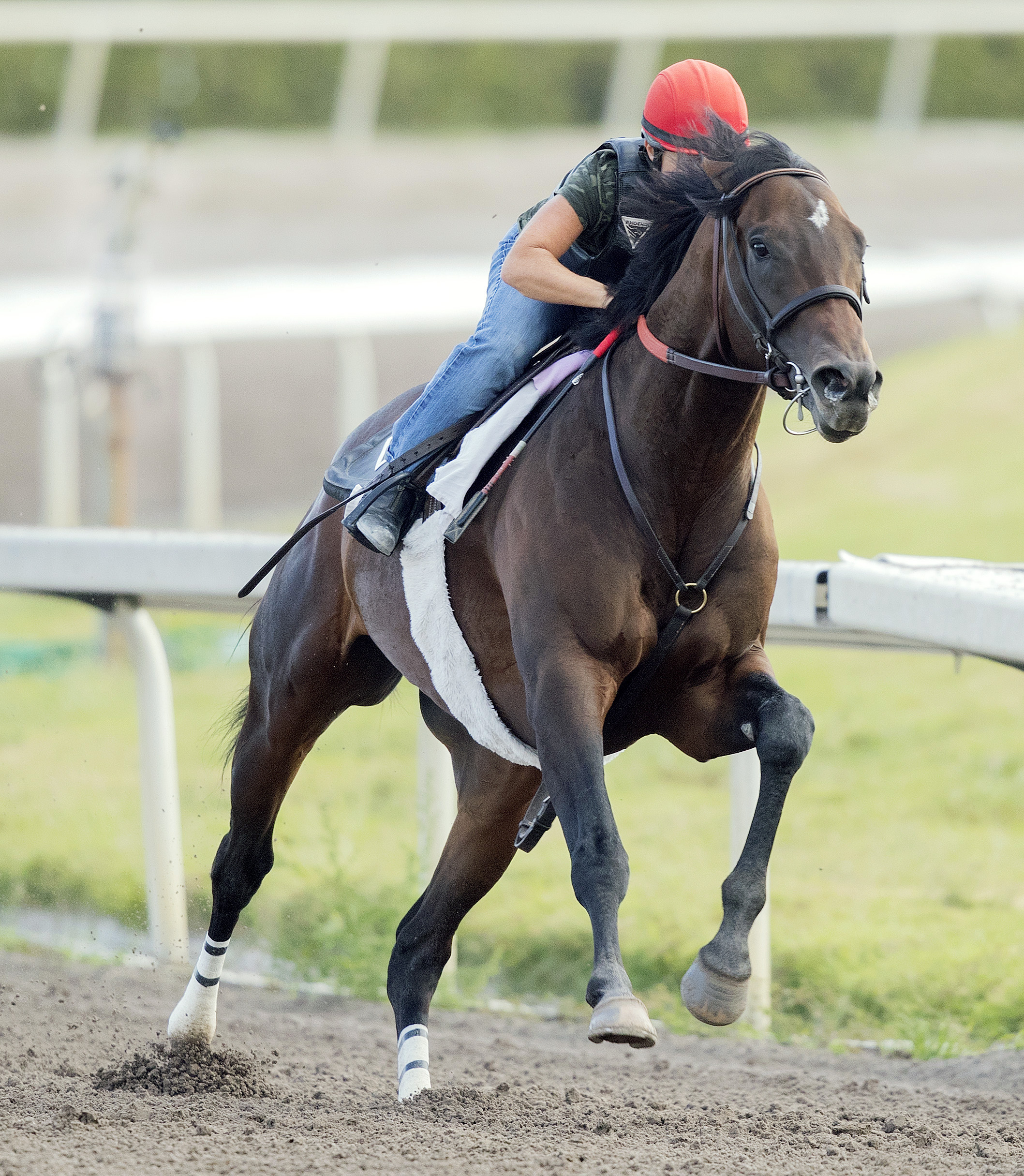 J Boys Echo trains at Gulfstream on March 25