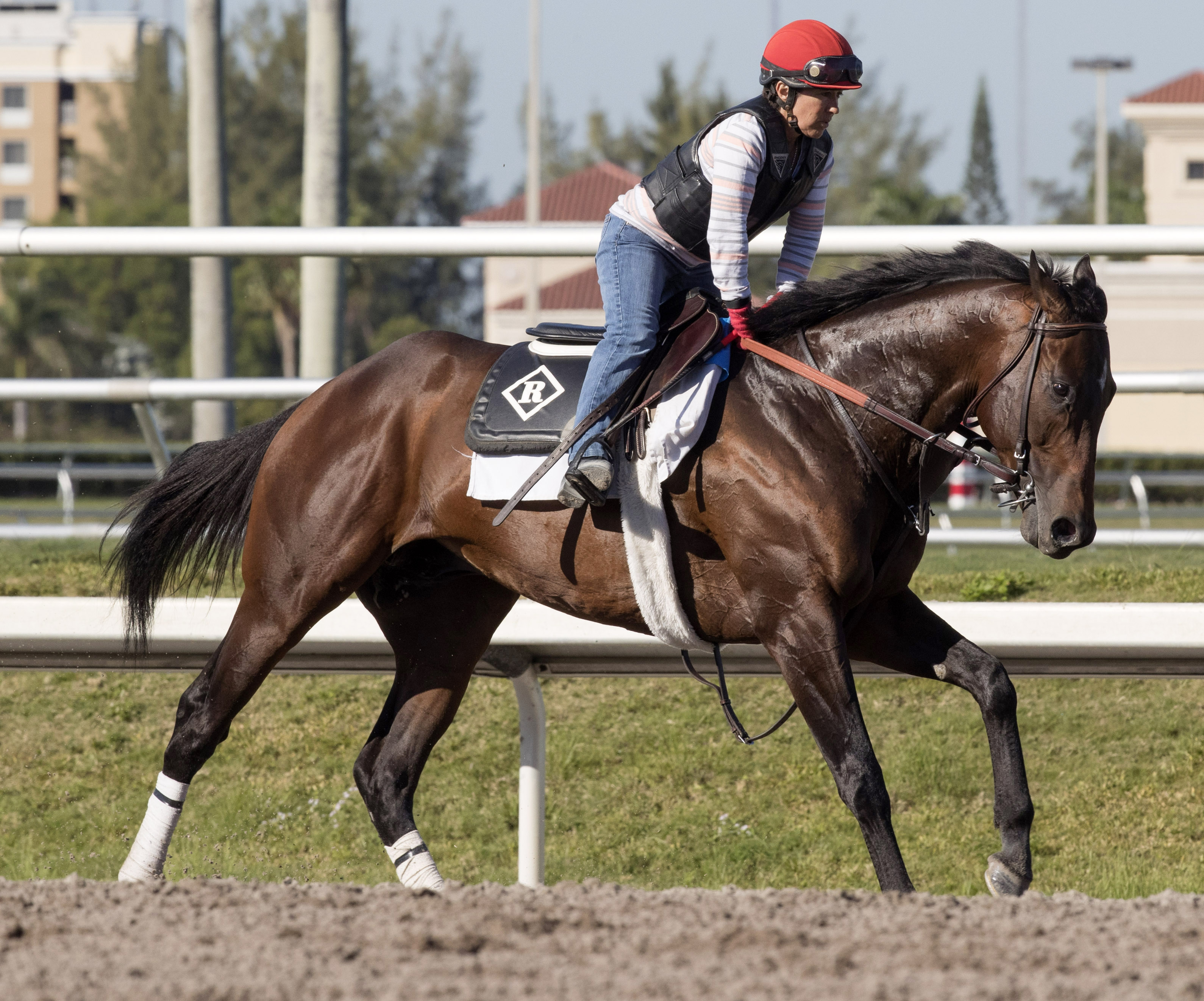 J Boys Echo trains at Gulfstream on Jan. 20