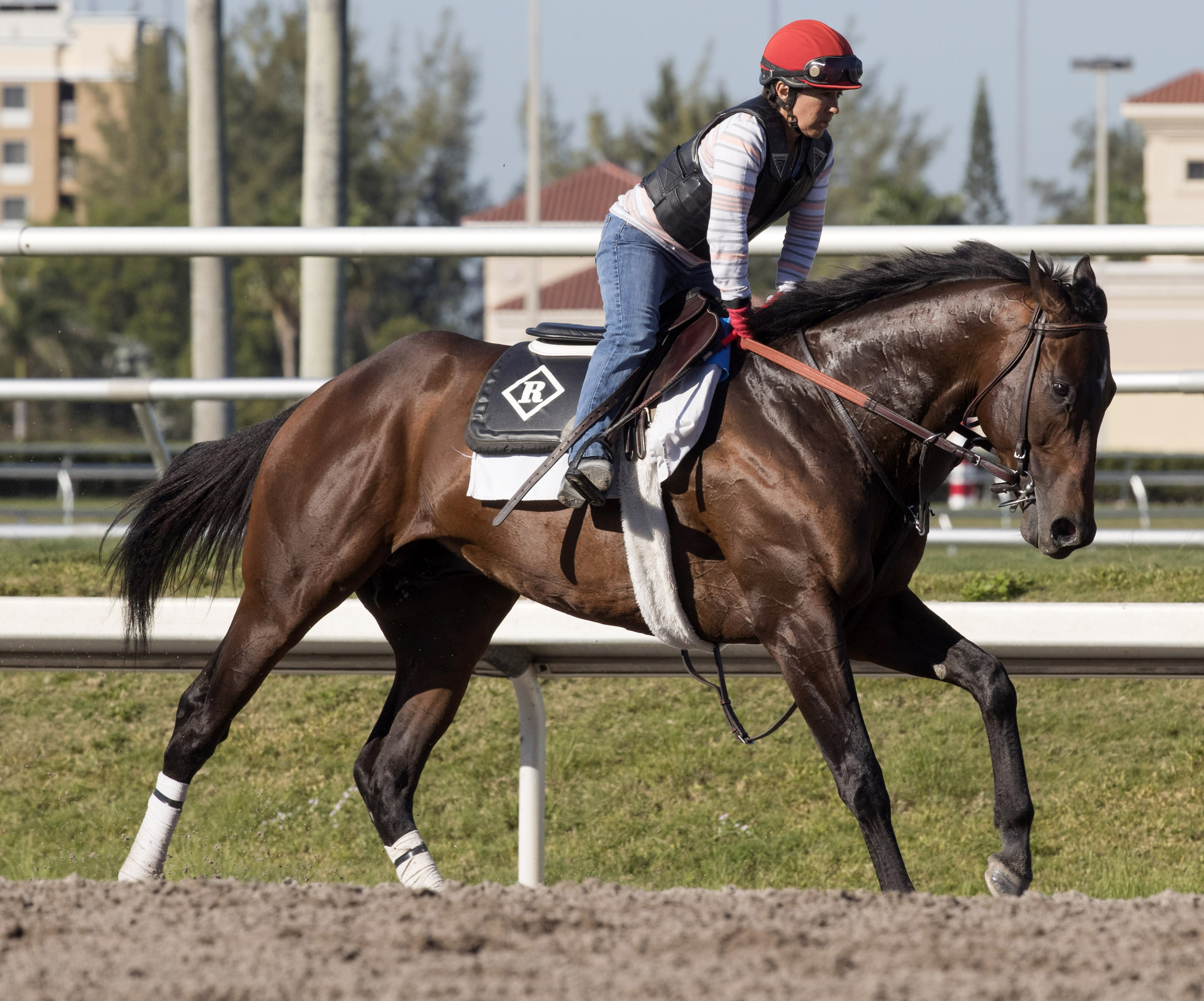J Boys Echo trains at Gulfstream on Jan. 20