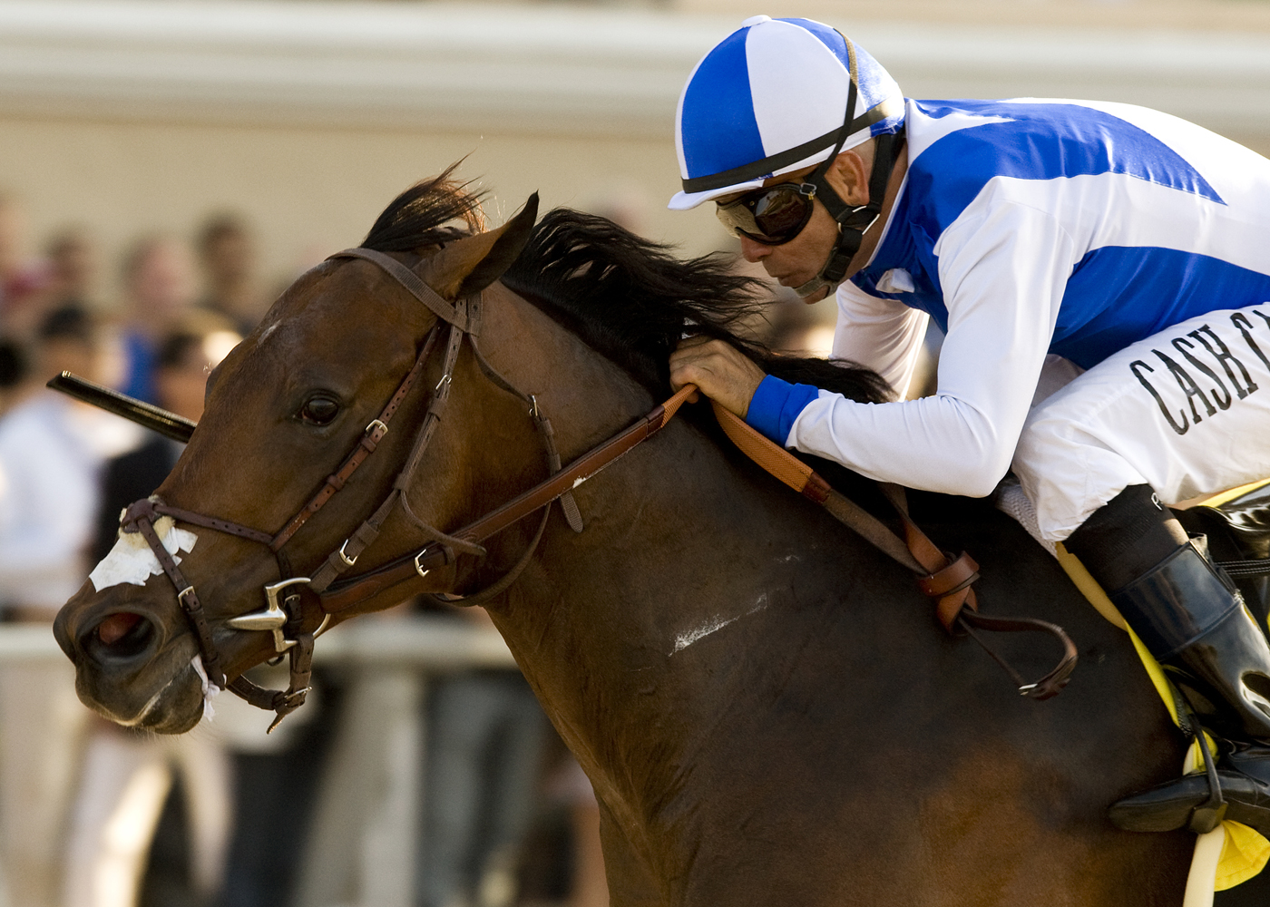 J P's Gusto/Del Mar Futurity