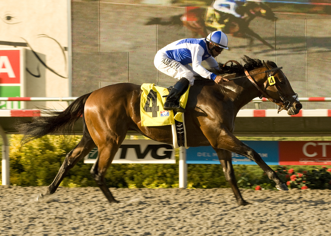 J P's Gusto/Del Mar Futurity