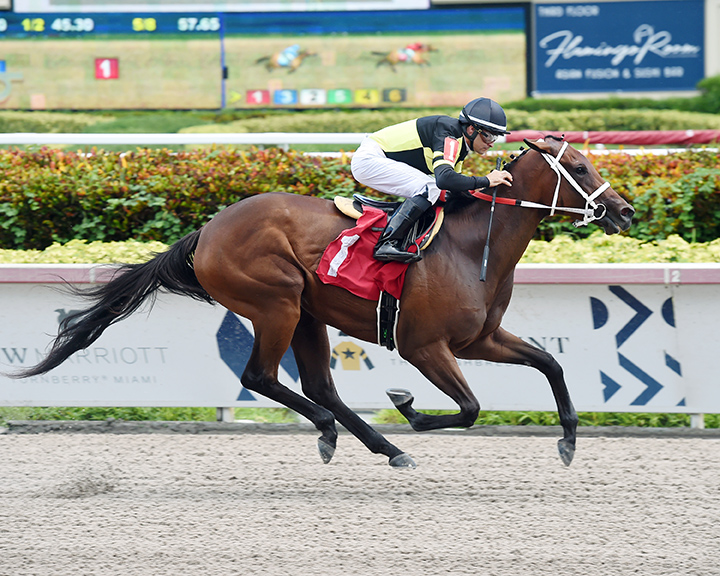 J P's Delight wins a July 26 maiden race at Gulfstream Park