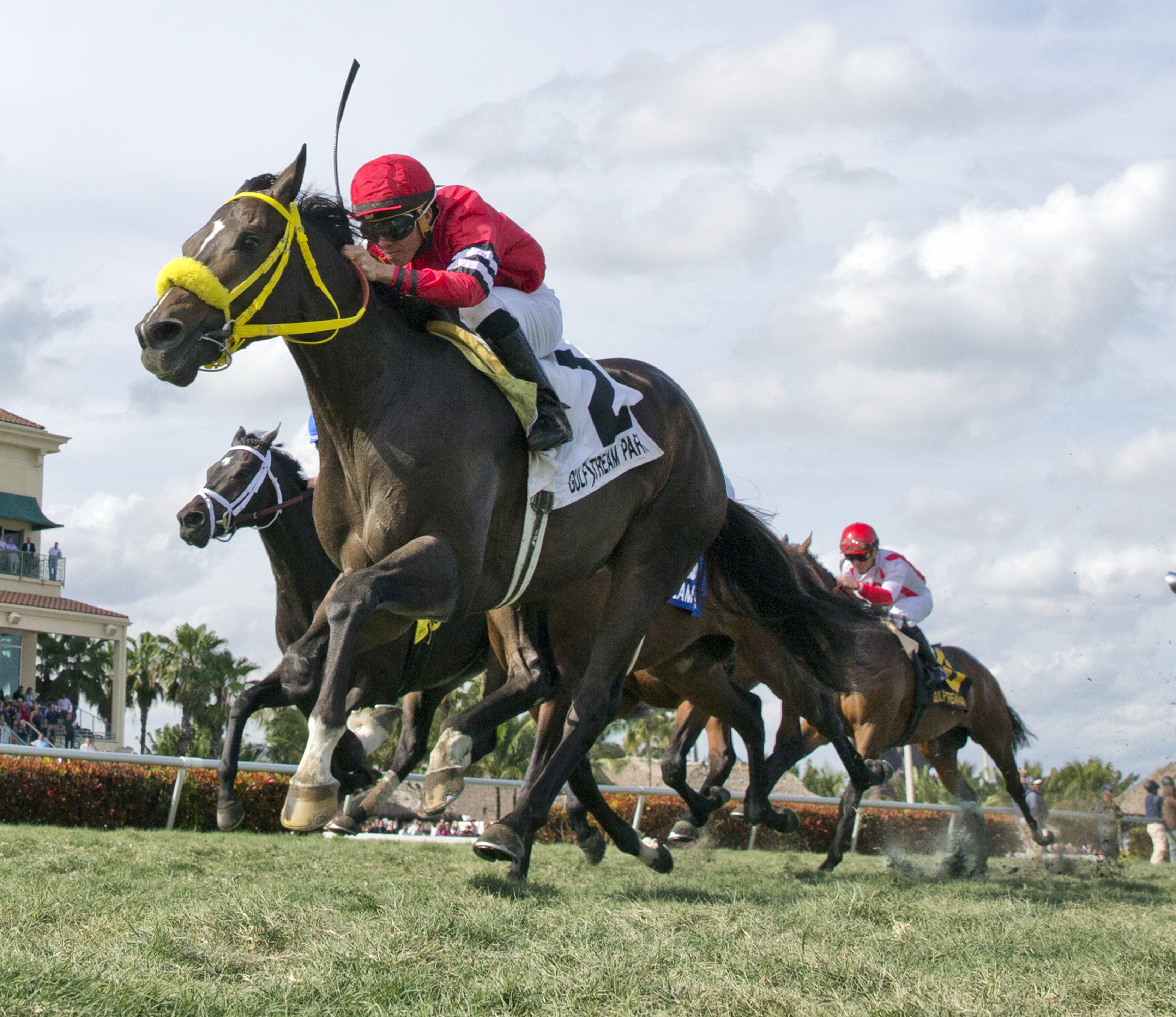 J R's Holiday wins the Kitten's Joy Stakes