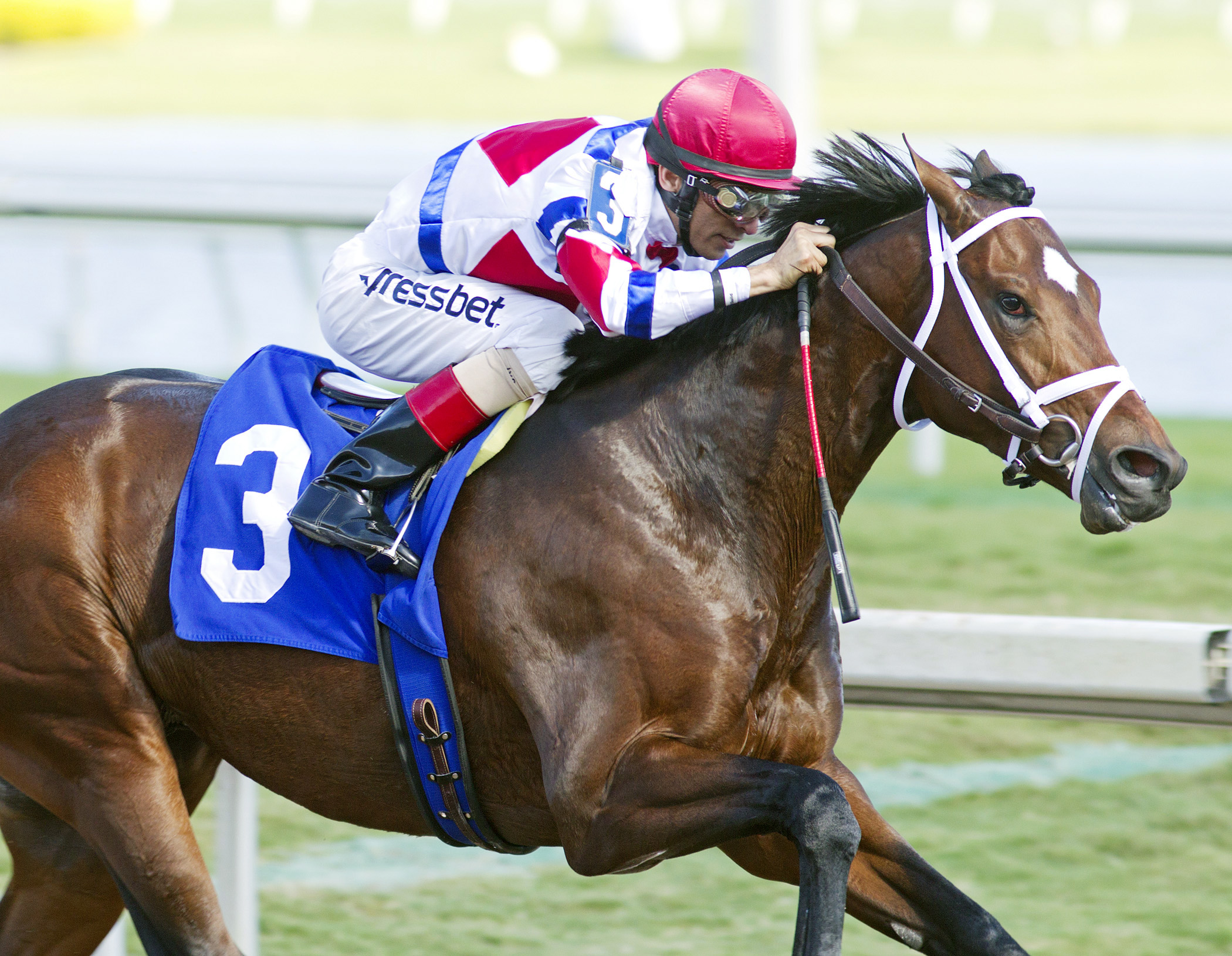 J S Bach wins a maiden race