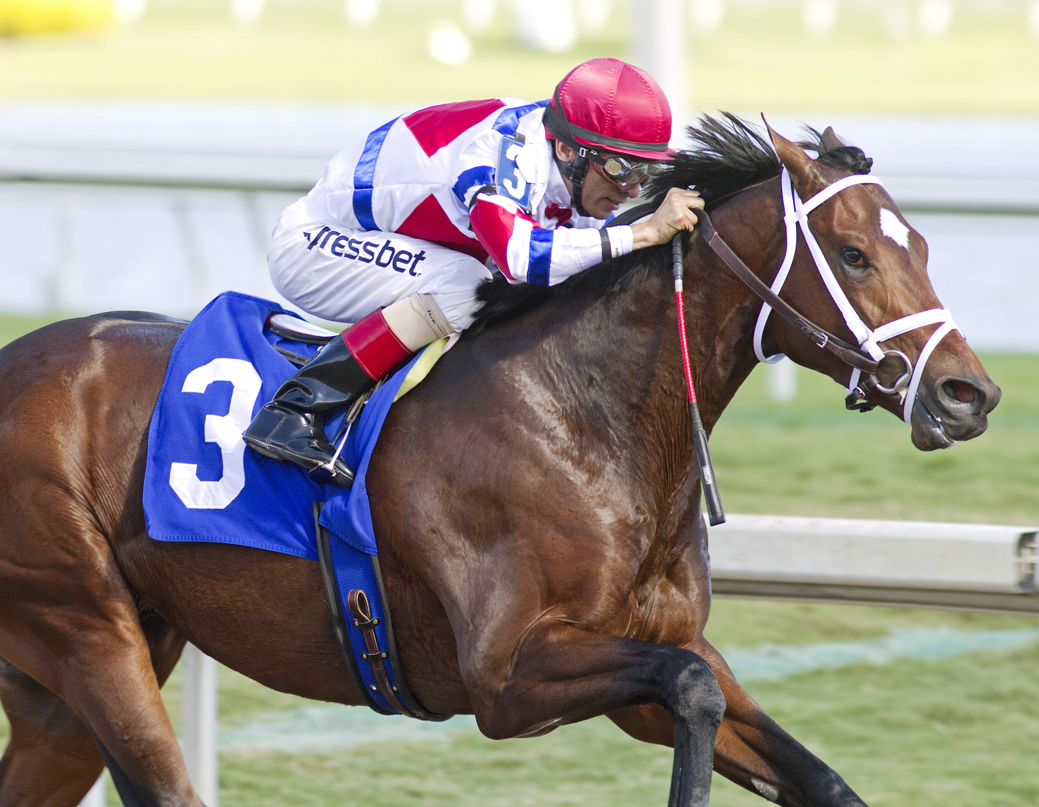 J S Bach wins a maiden race in January 2015