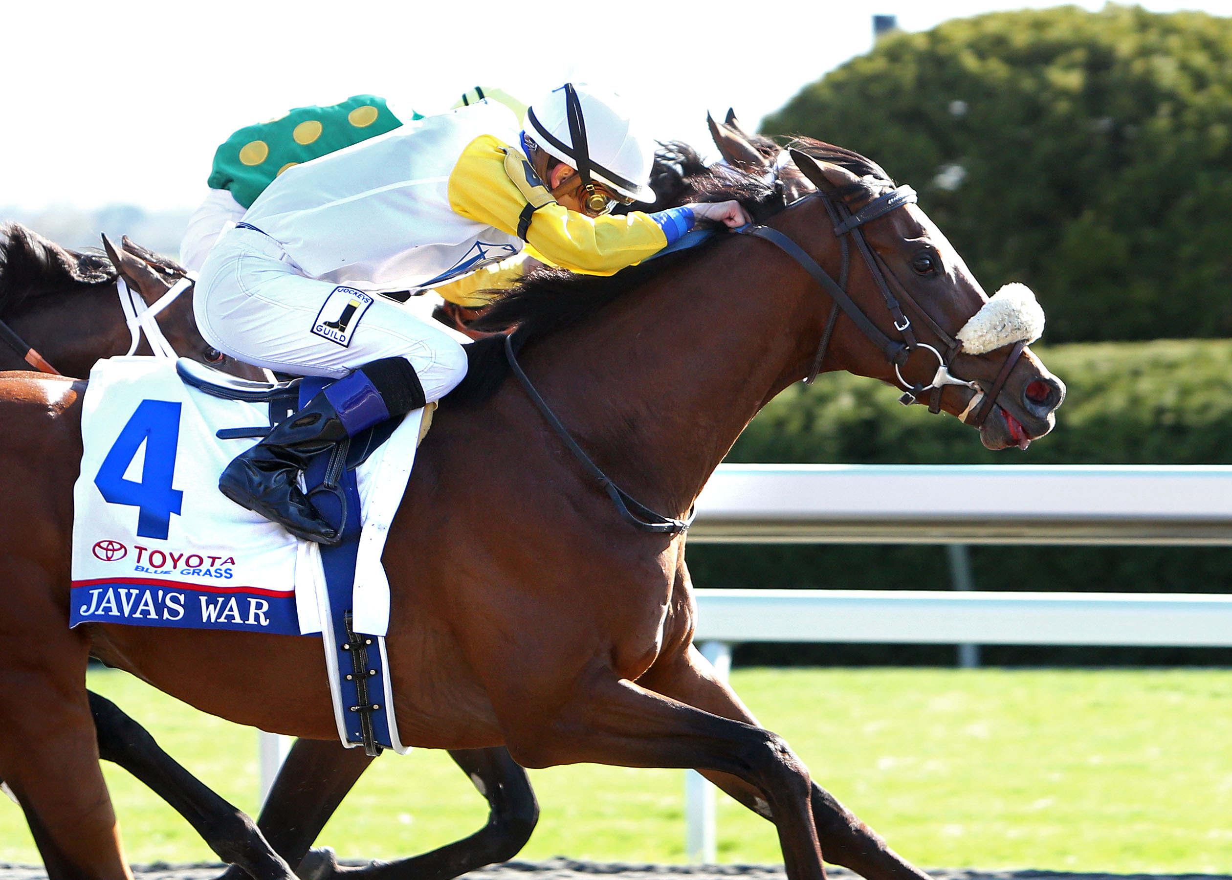 Java's War wins the 2013 Blue Grass Stakes