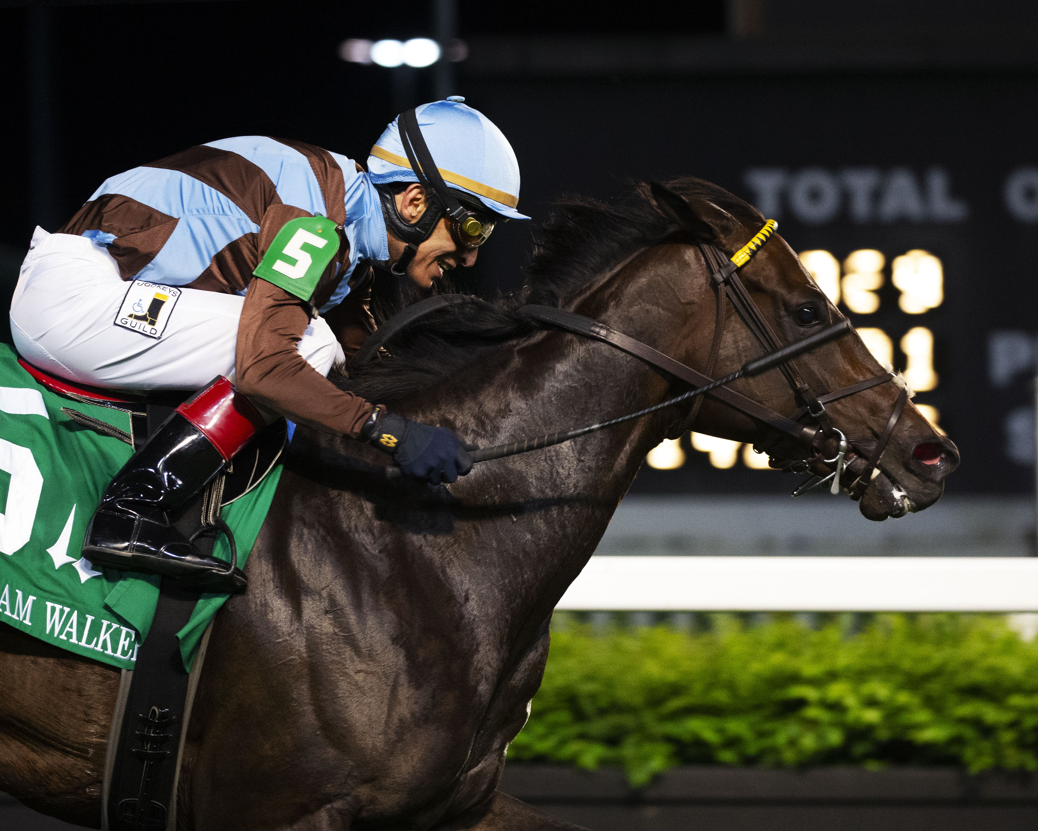 Jo Jo Air wins the 2019 William Walker Stakes