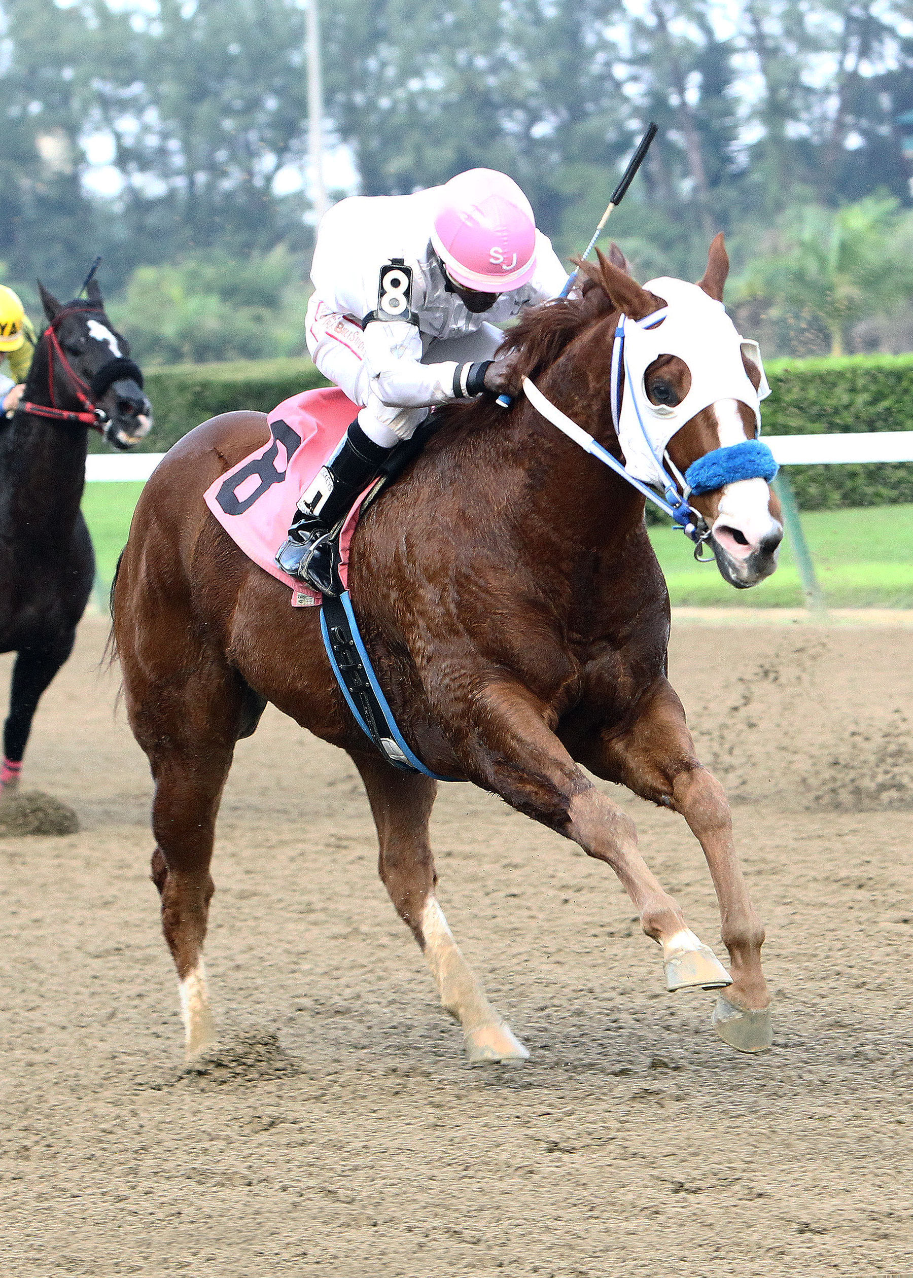 Joltin Jess 12-15-2013