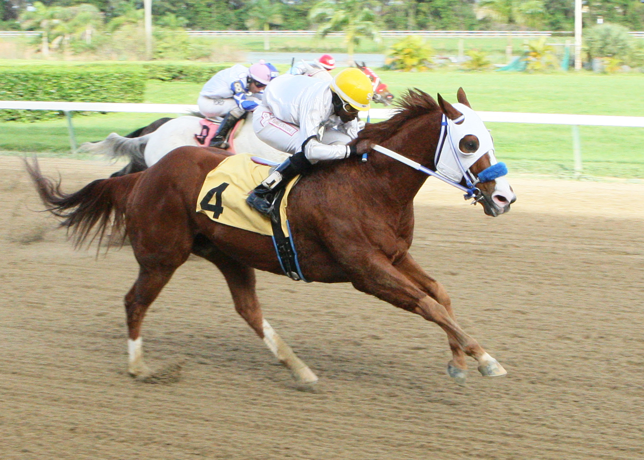 Joltin Jess 1-5-2014