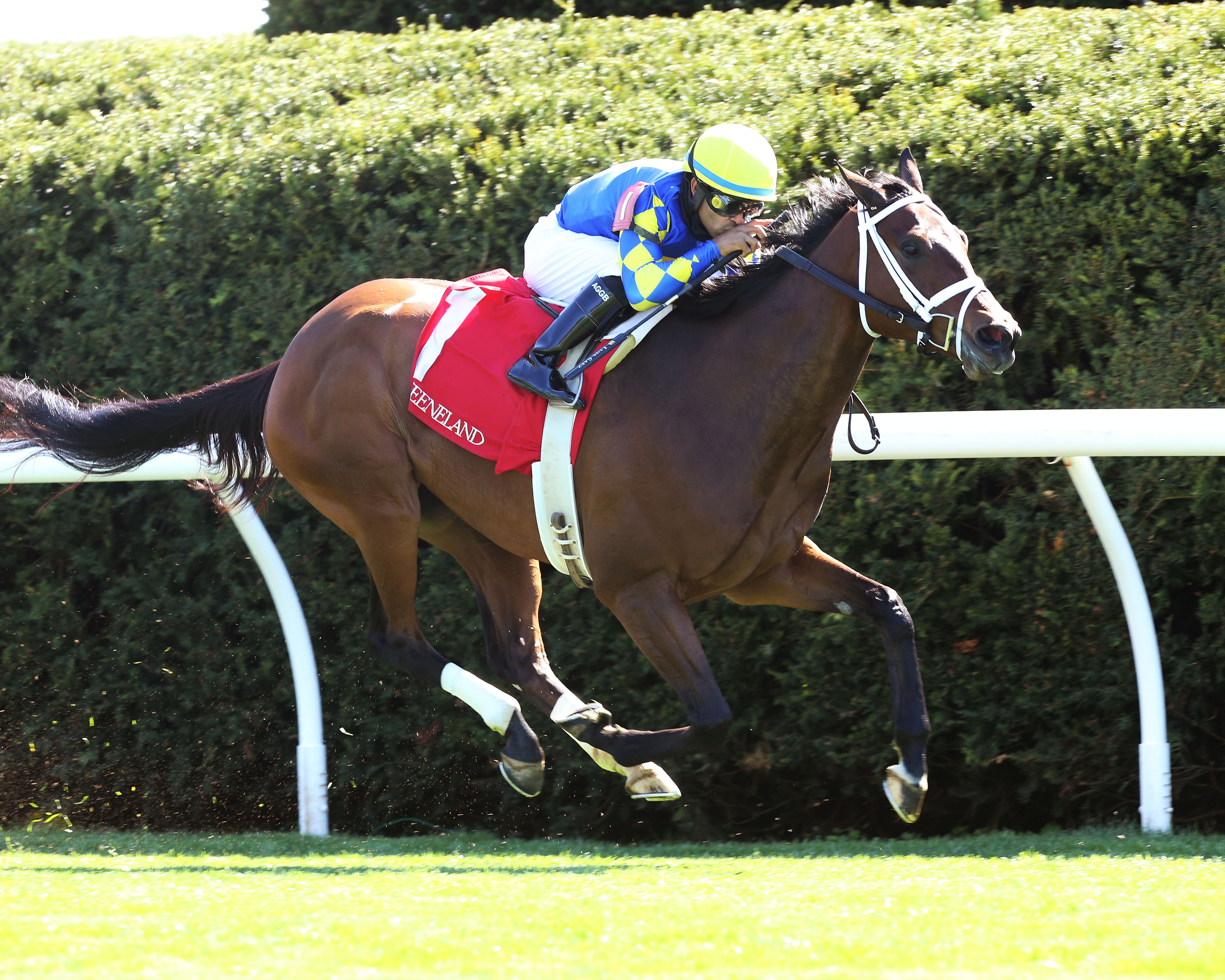 Jouster wins Appalachian Stakes 4-3-2021