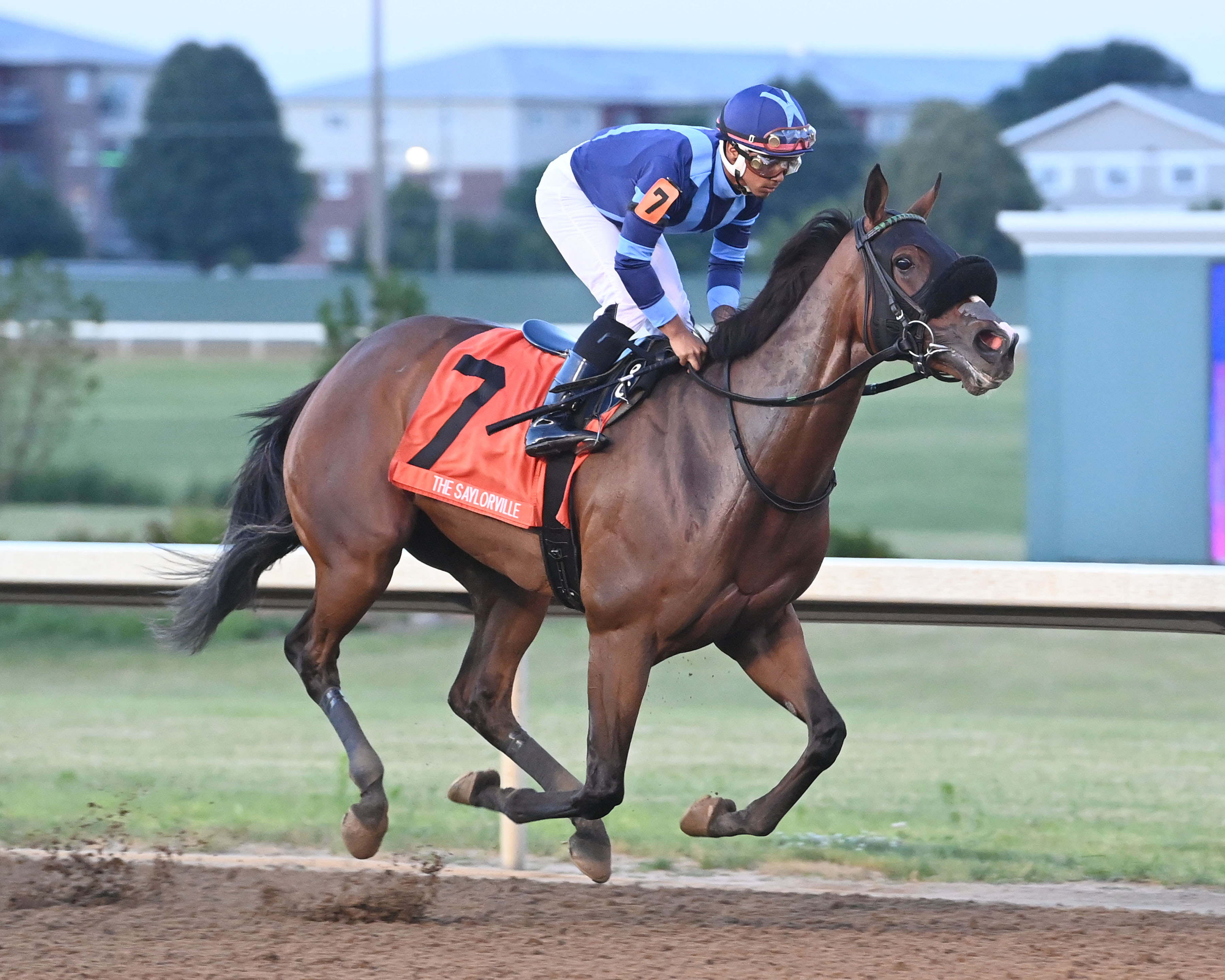 Joyful Cadence/Saylorville