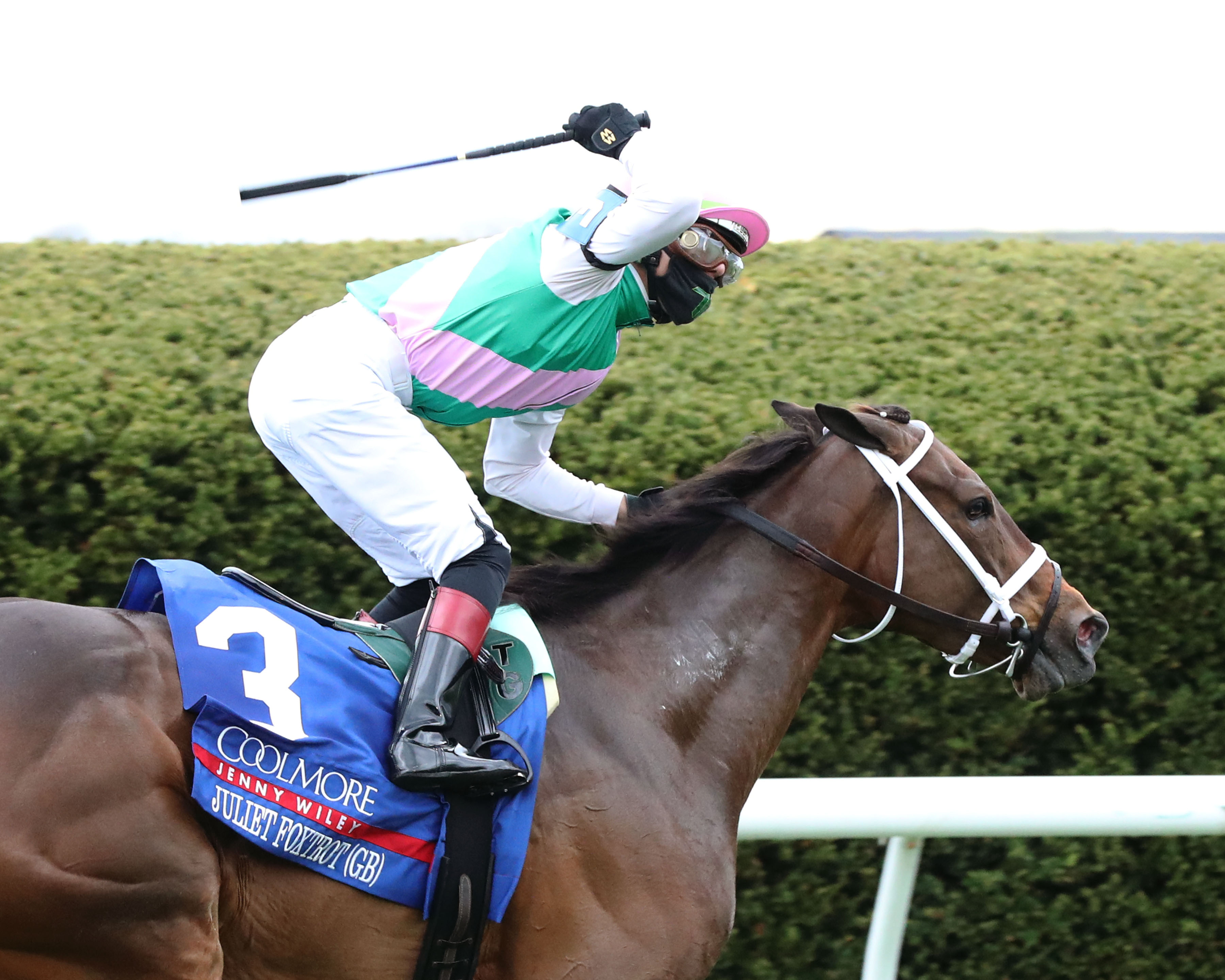 Juliet Foxtrot - Jenny Wiley S. G1 2021