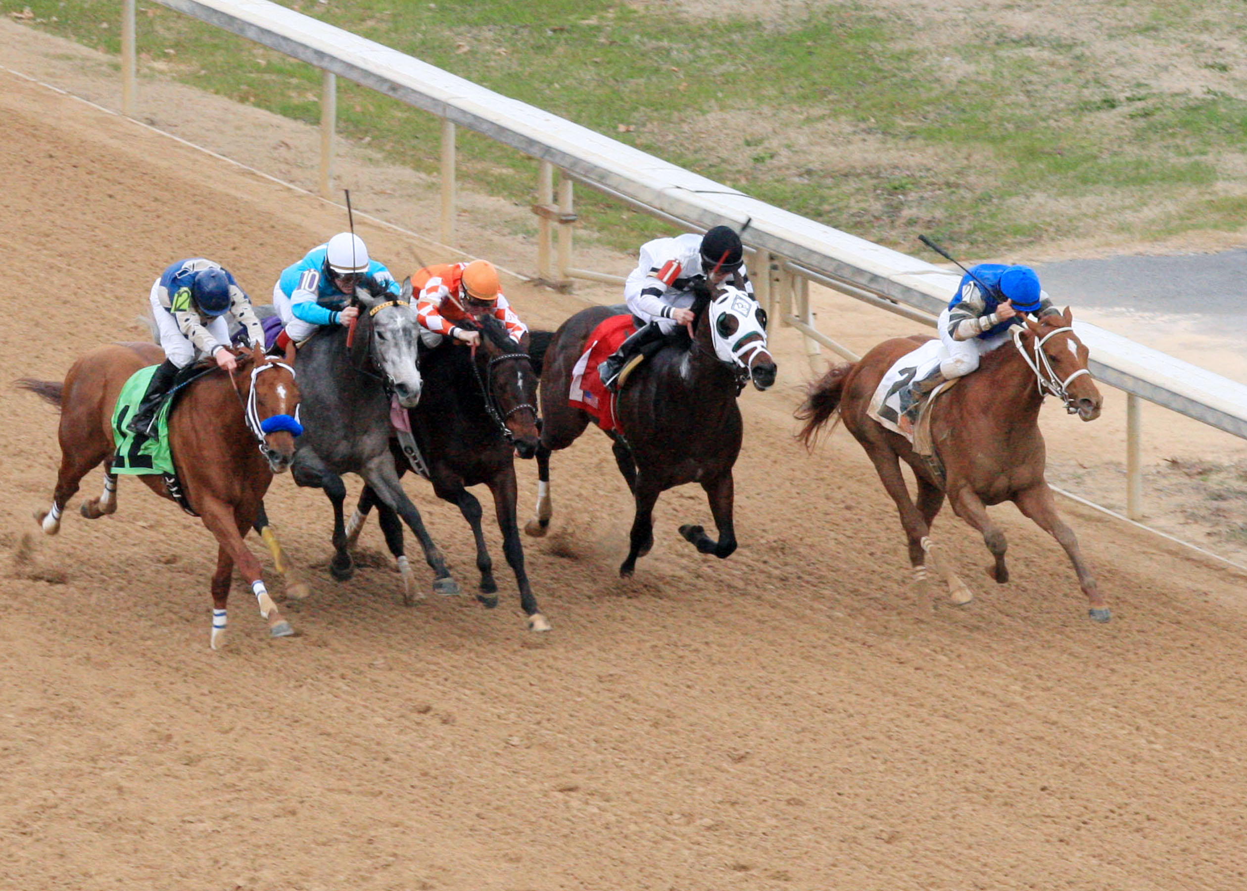Junebugred/Smarty Jones