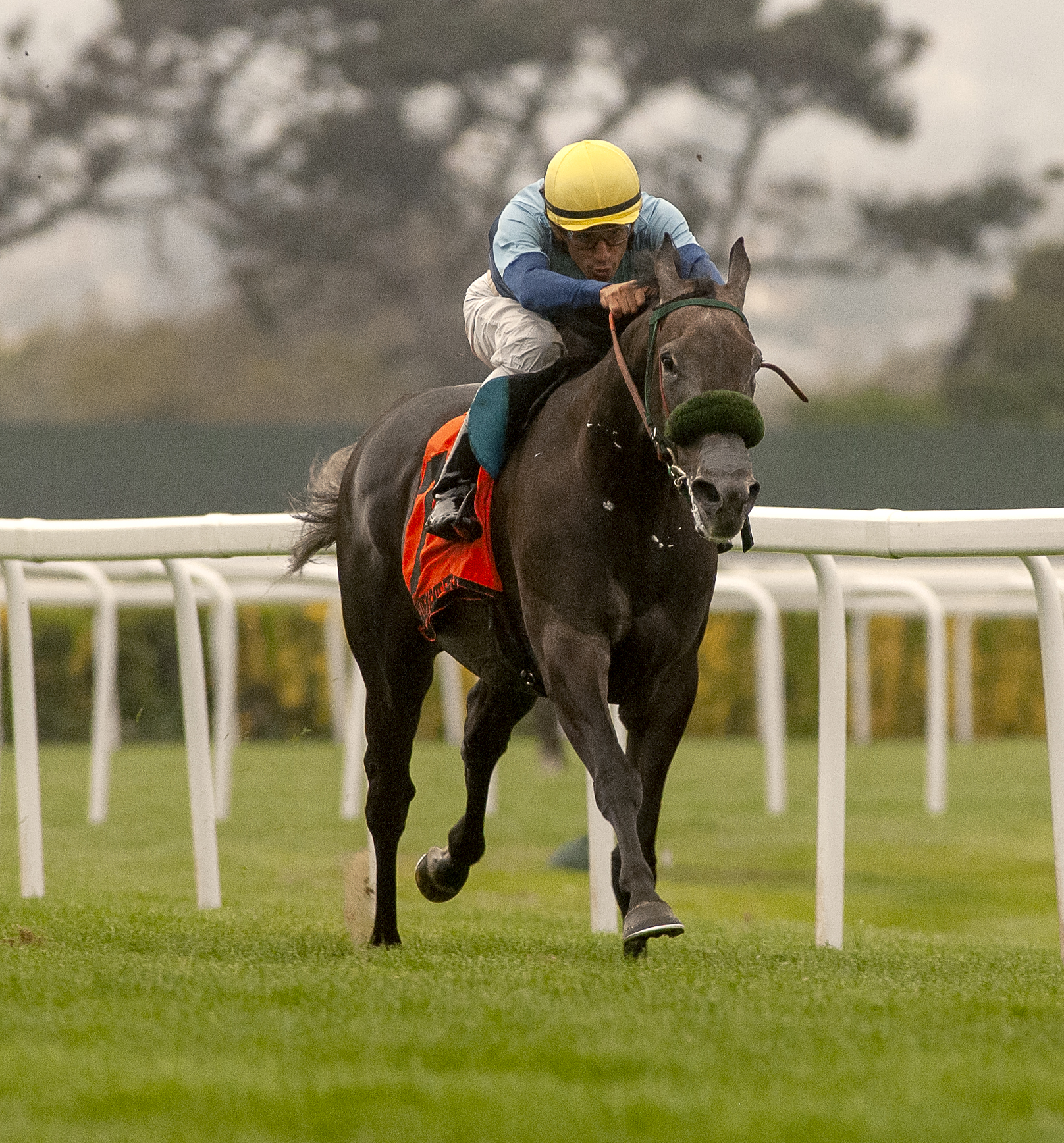 Jungle Cry wins the Robert Duprey 8-14-2021