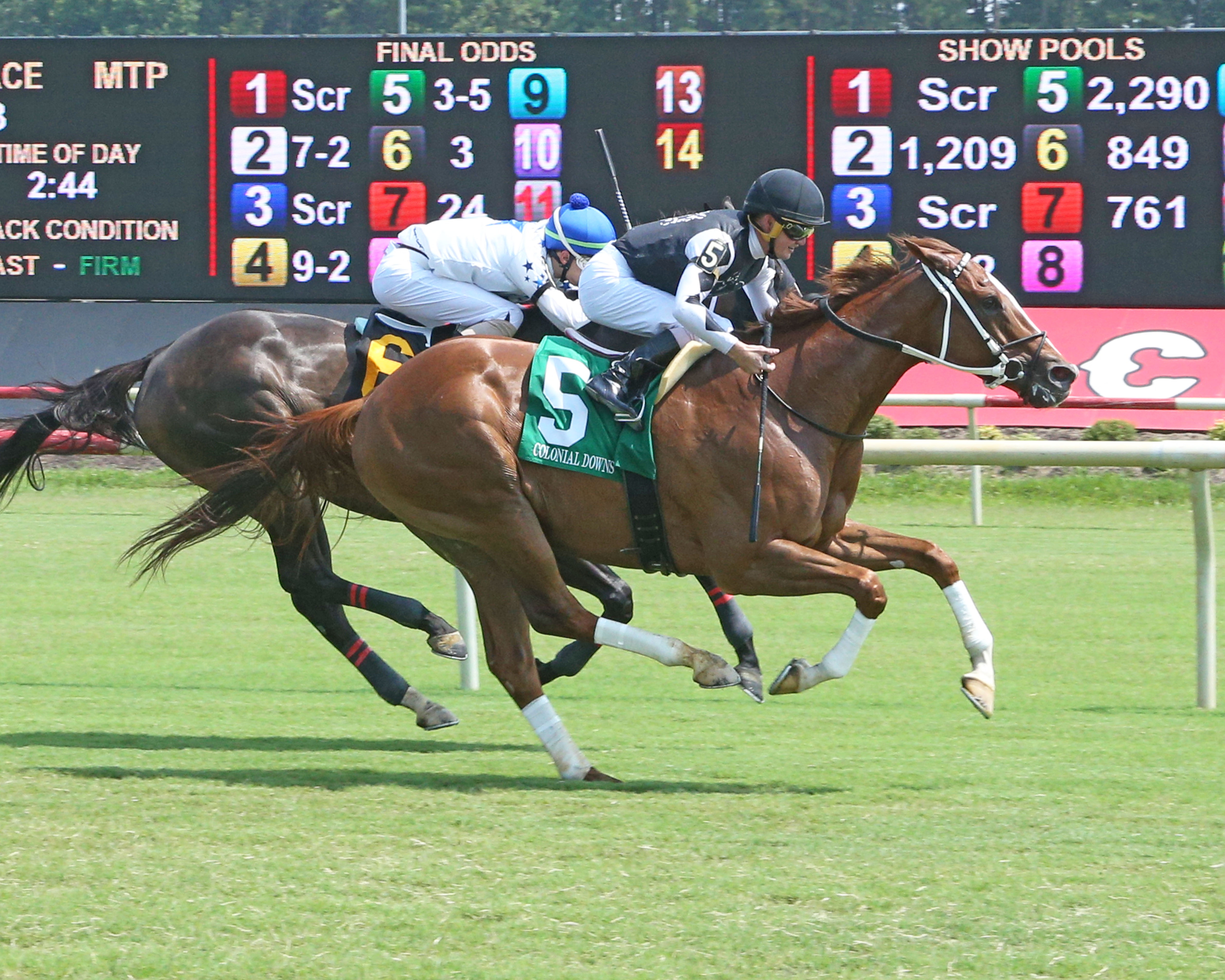 Just Might, Da Hoss Stakes