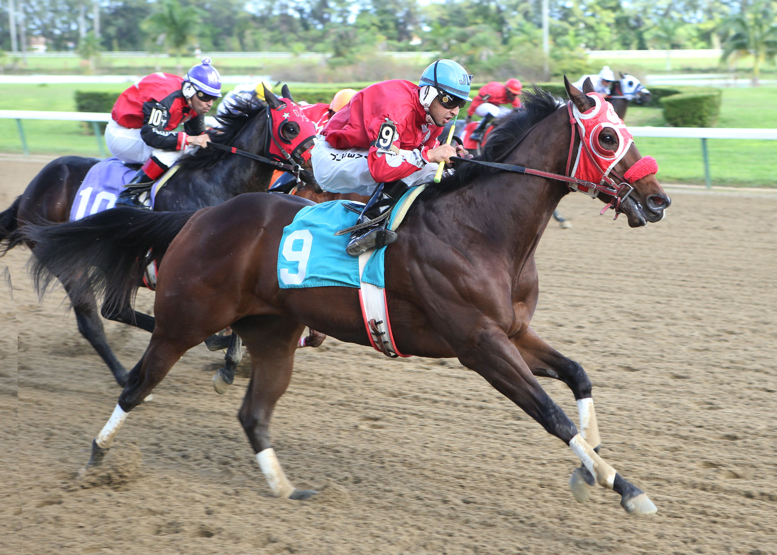 Ja Zoomin Cuervo 12-7-2013