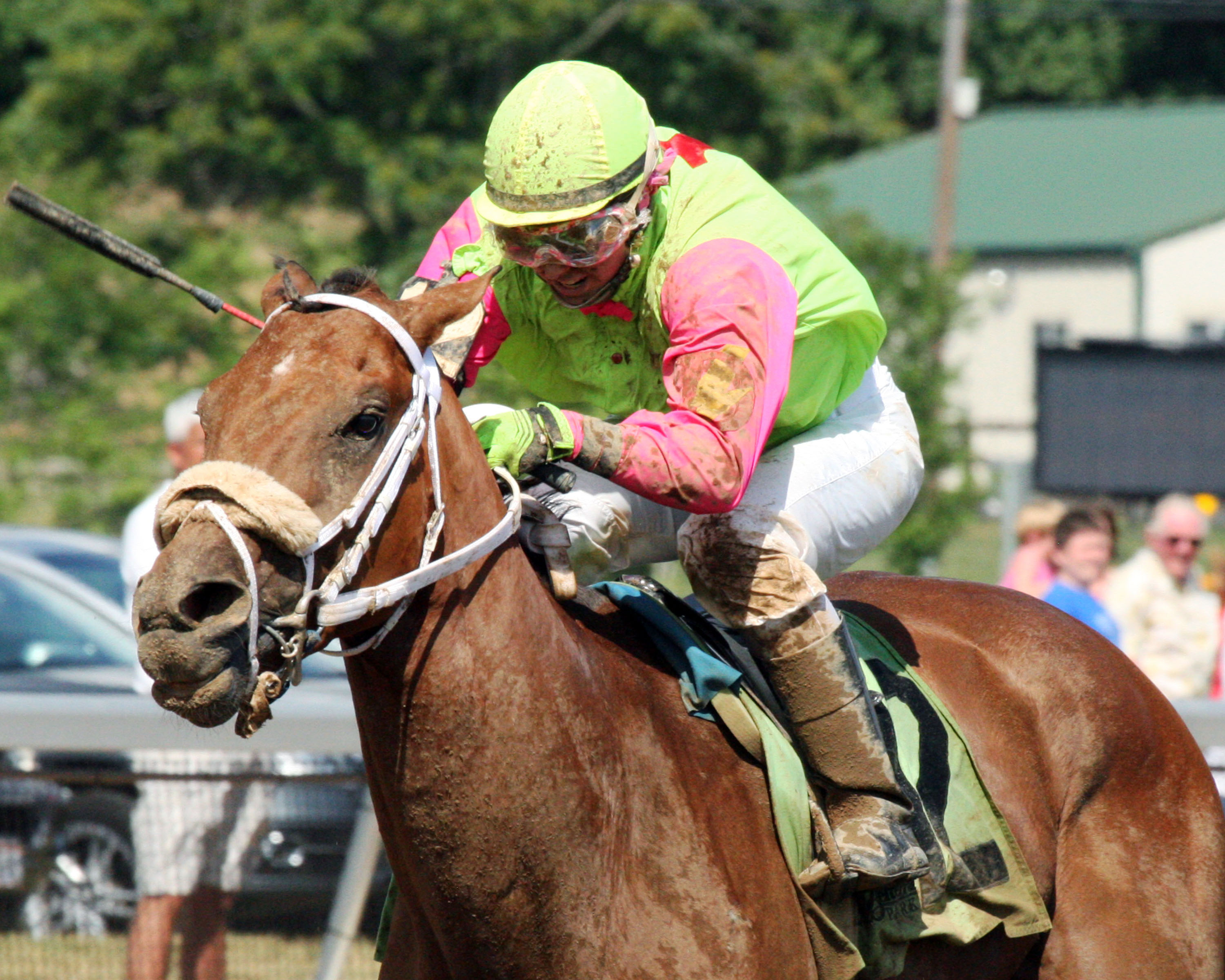 Jac's Fact wins the Gendelman Memorial Handicap