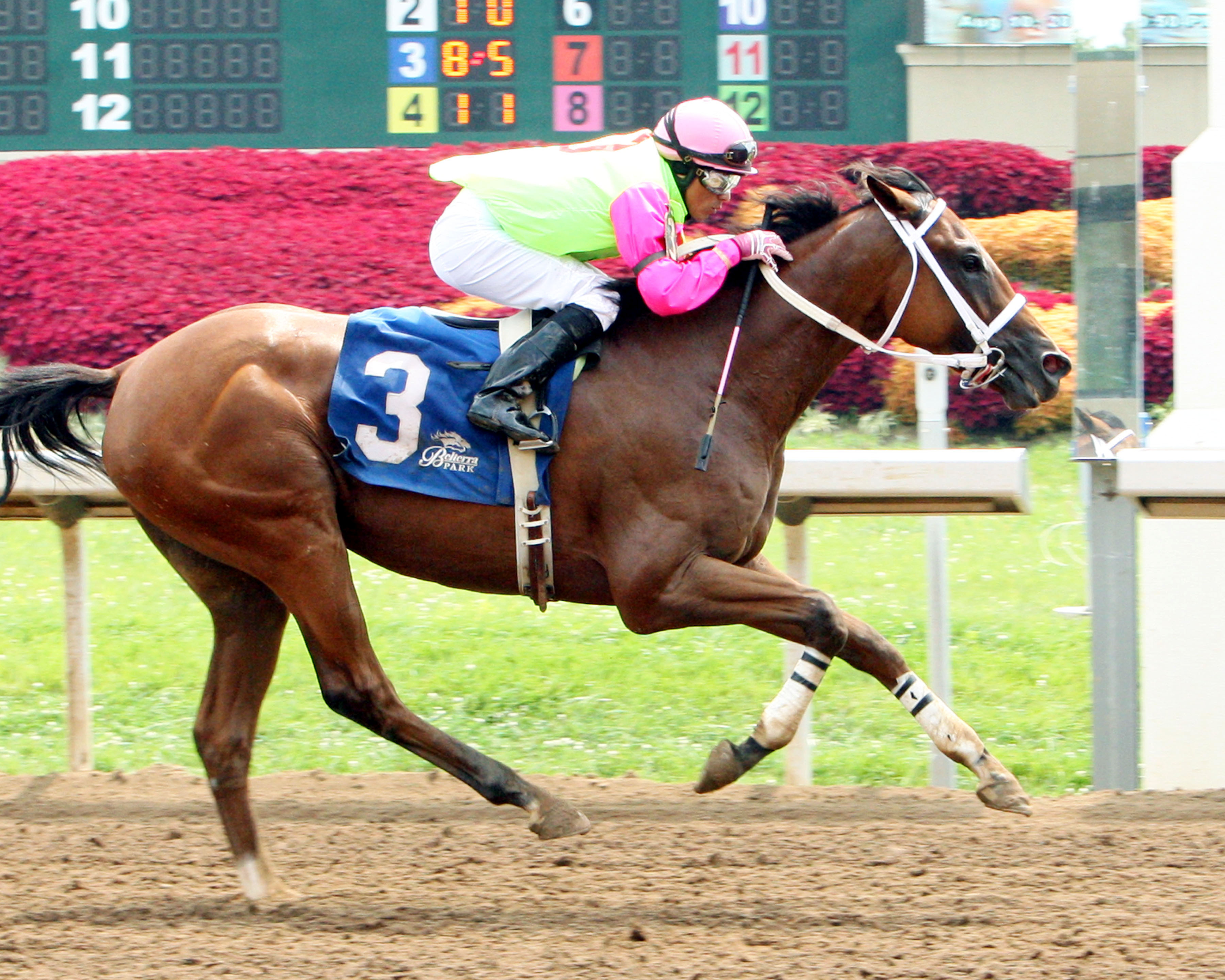 Jac's Fact wins the Horizon Stakes