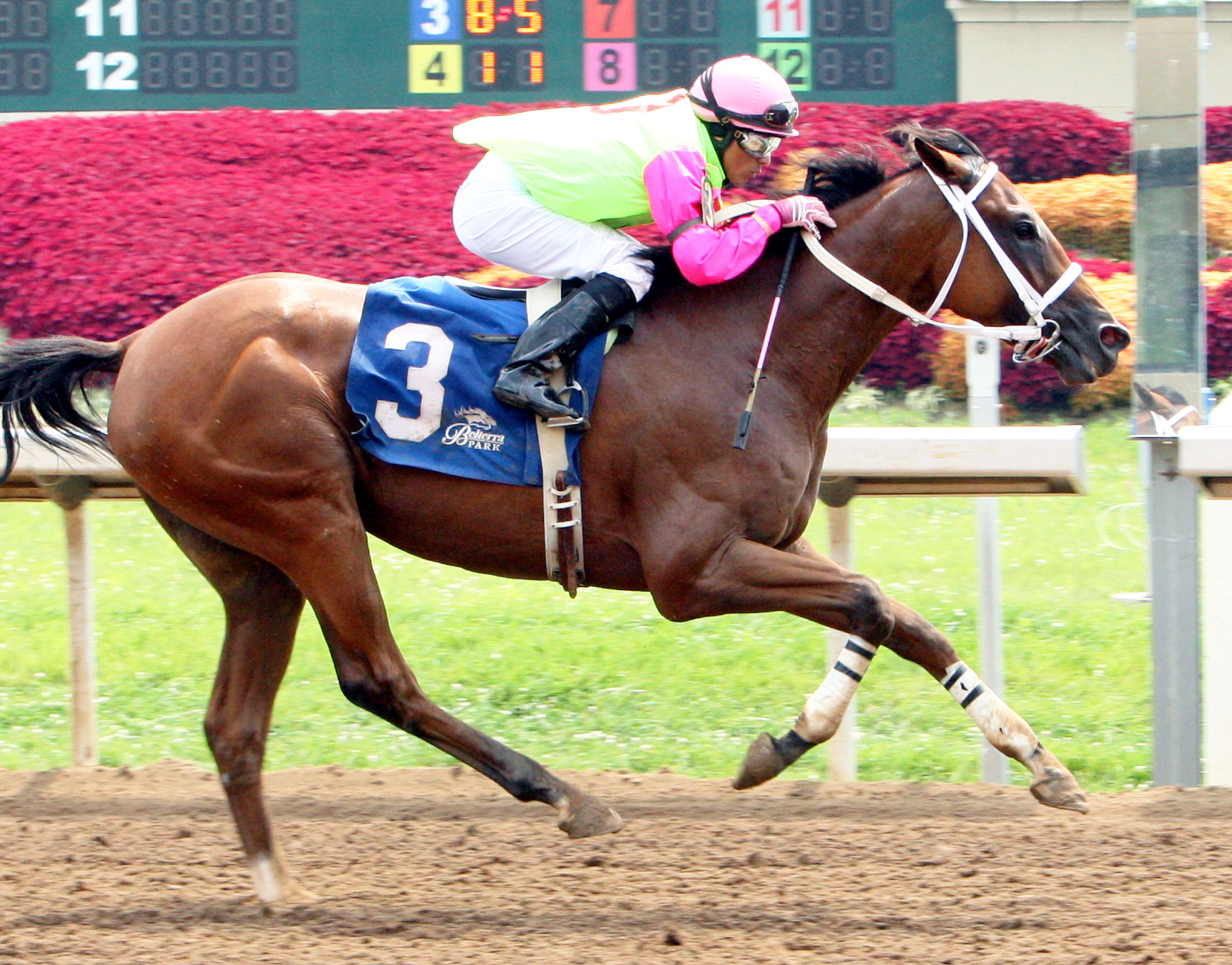 Jac's Fact wins the Horizon Stakes